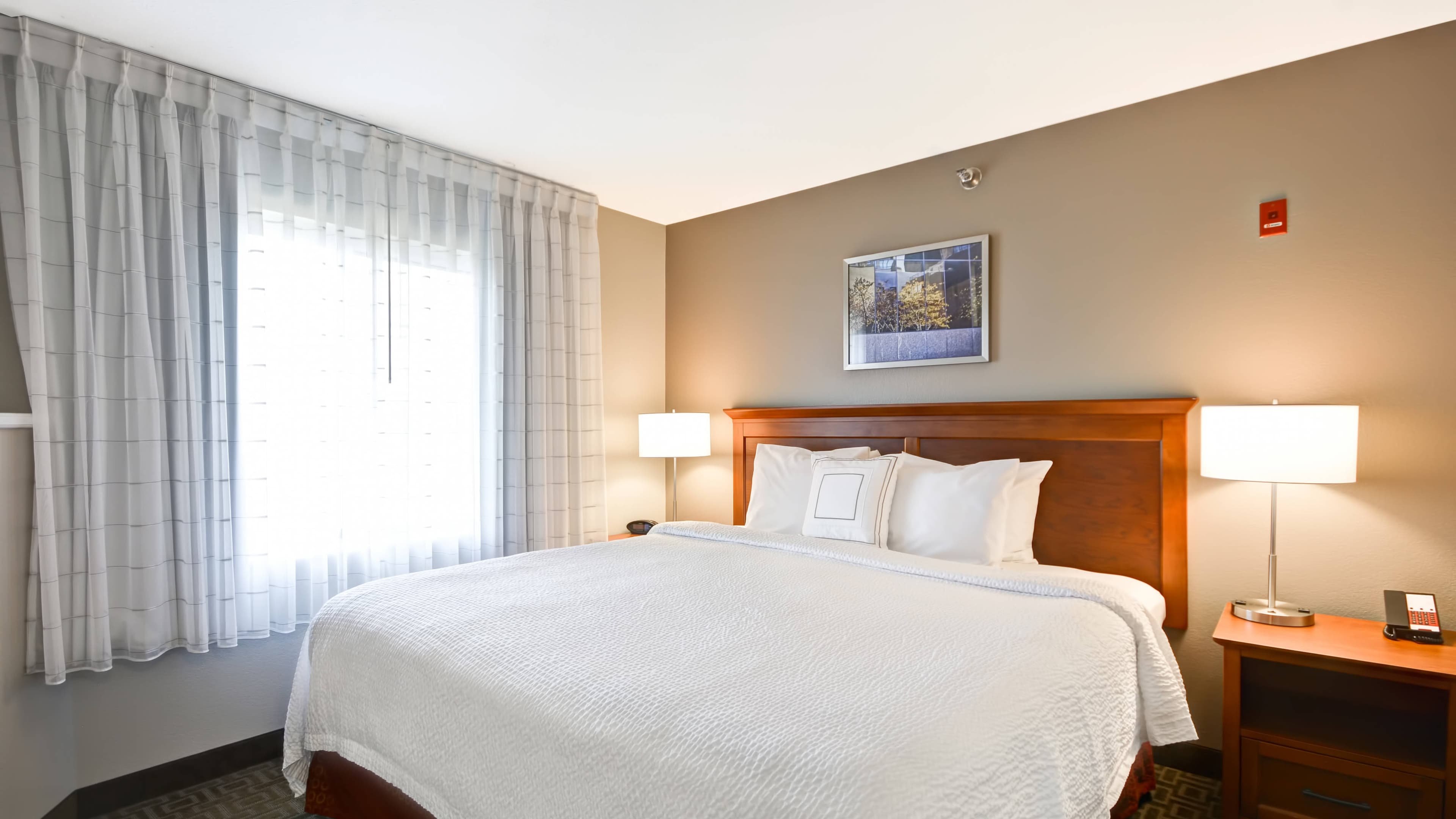 1 Bedroom Suite - Image 4