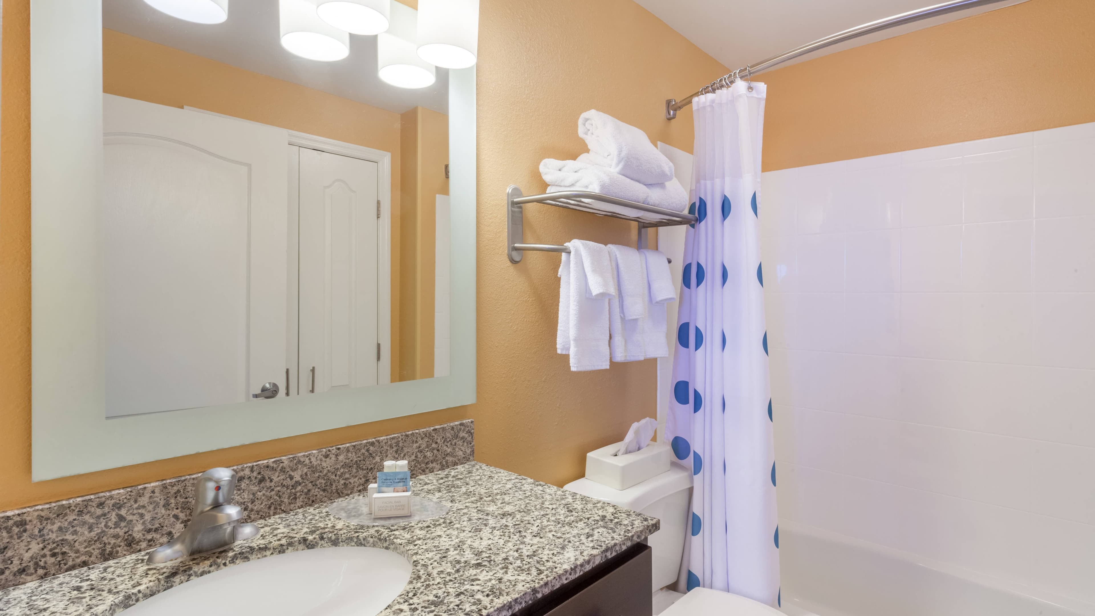 King Studio Suite - Image 3