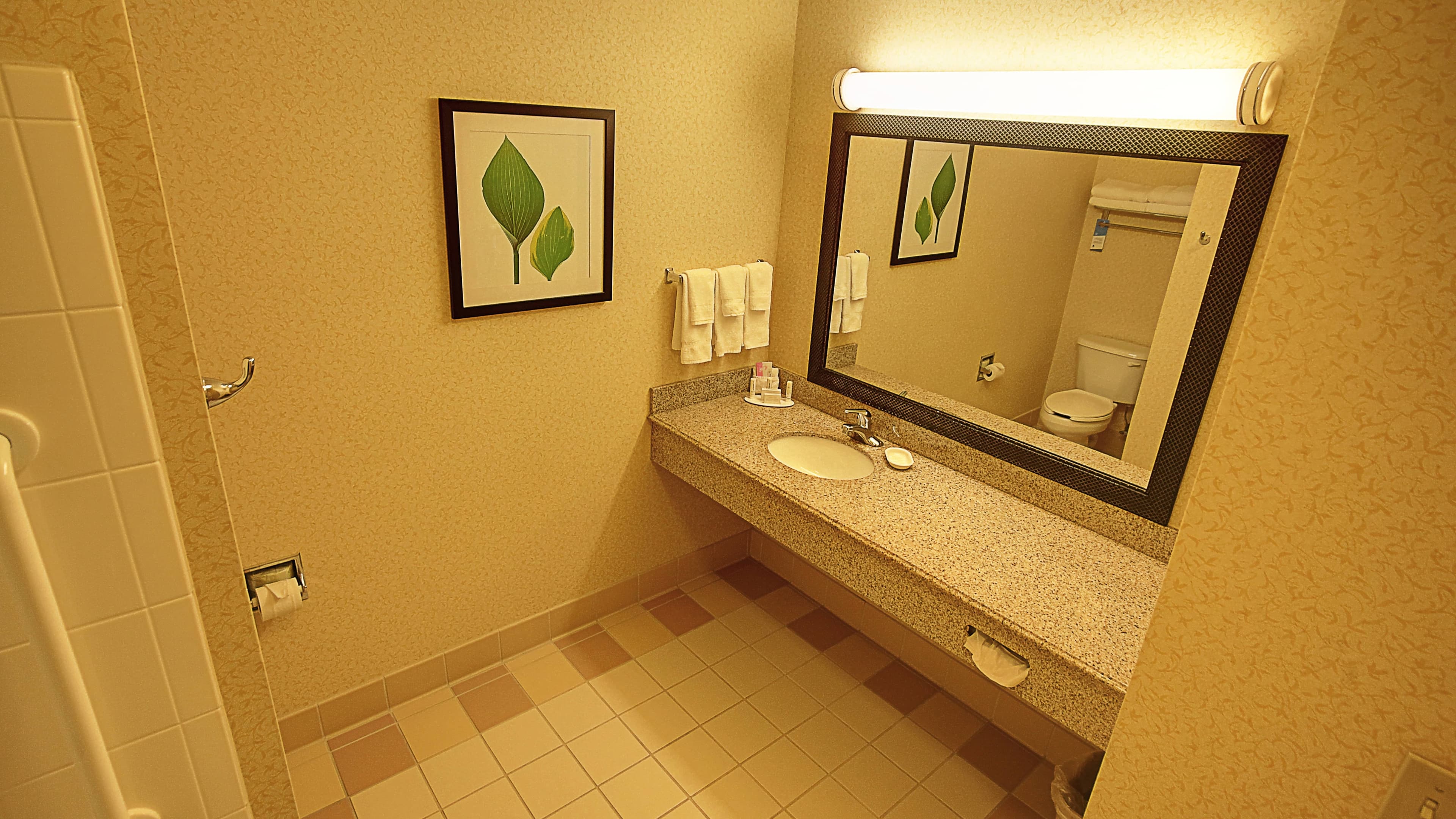 Single King - Image 2