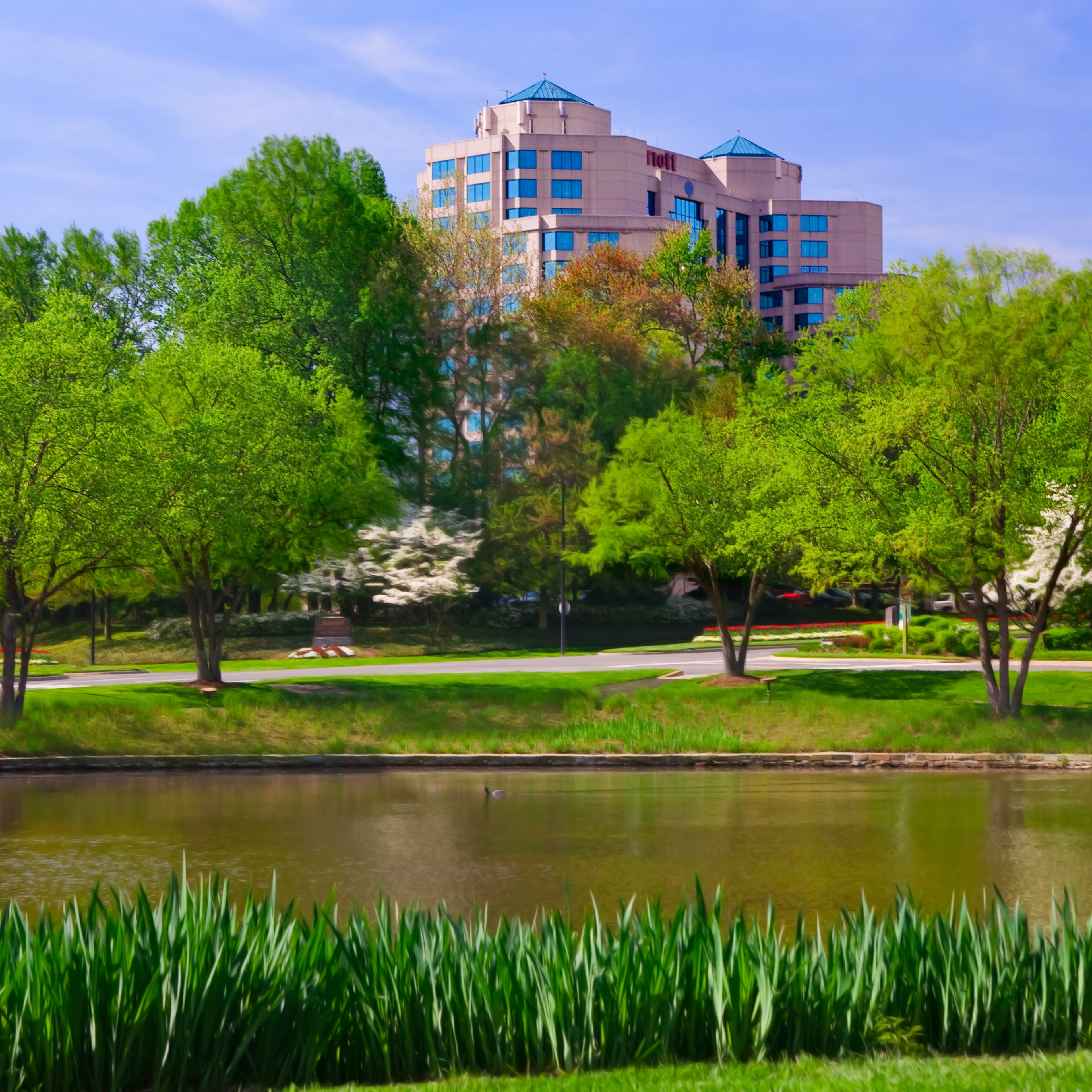 Falls Church Marriott Fairview Park