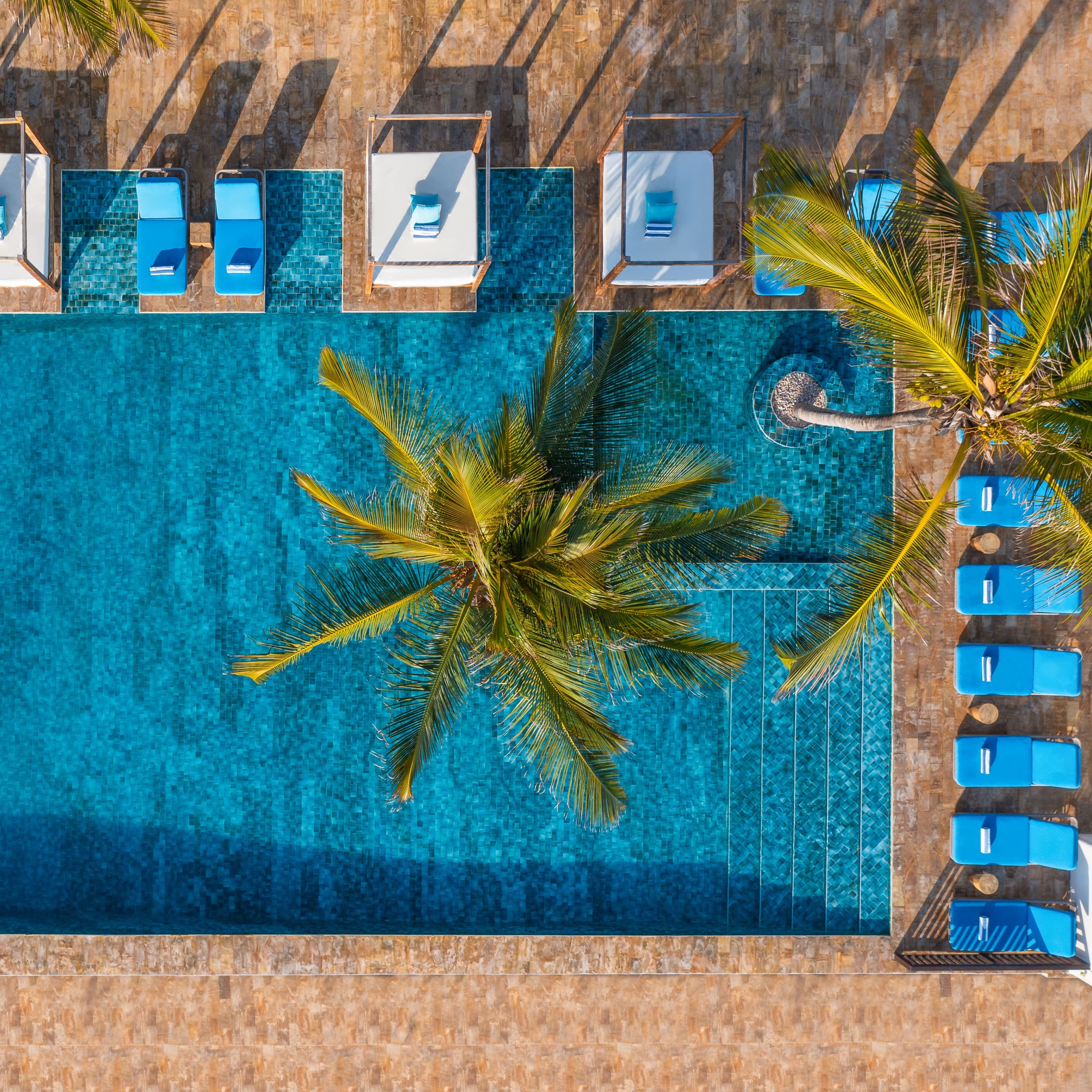 Le Mersenne Zanzibar, Autograph Collection