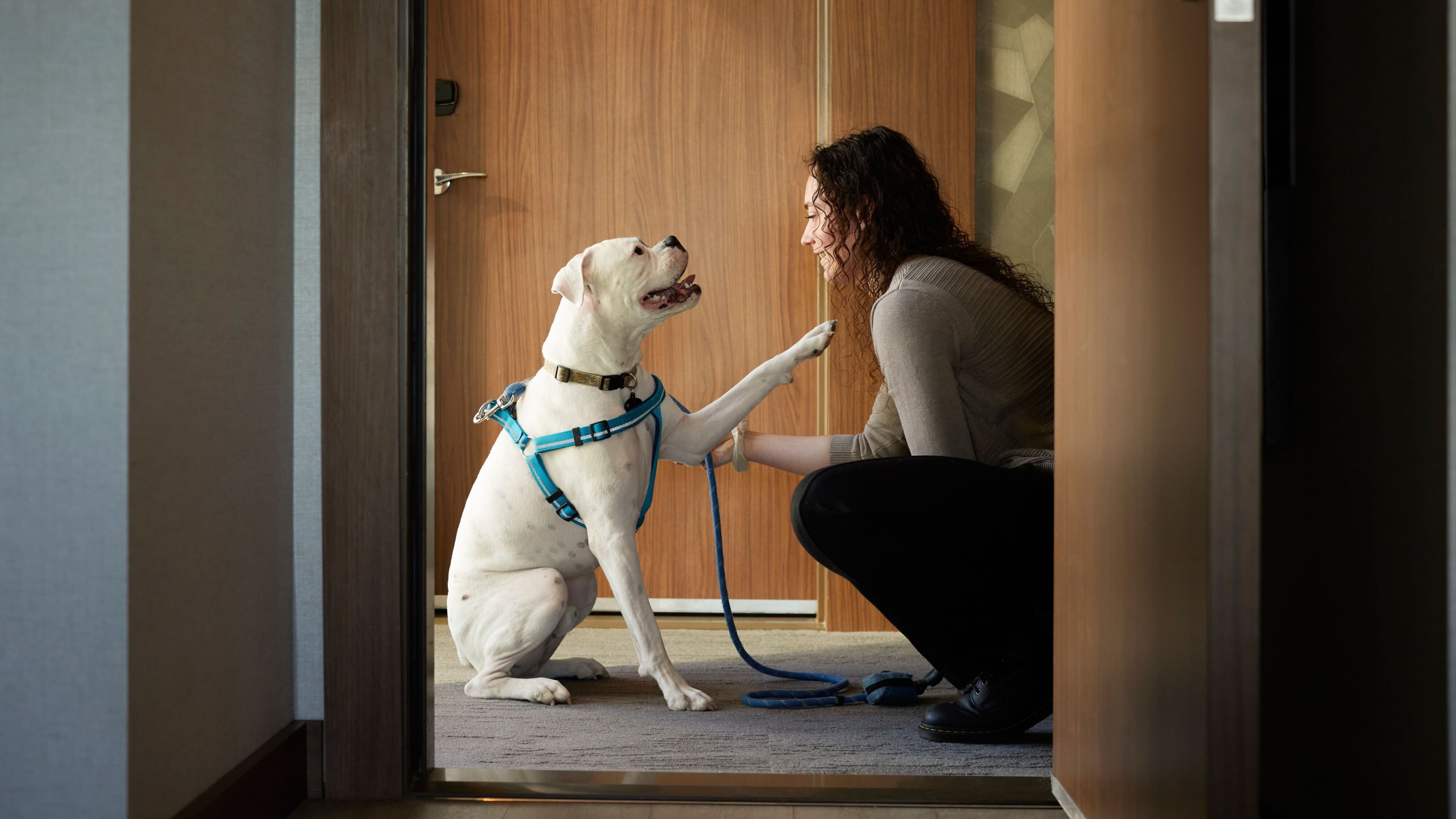 Classic King - Image 7