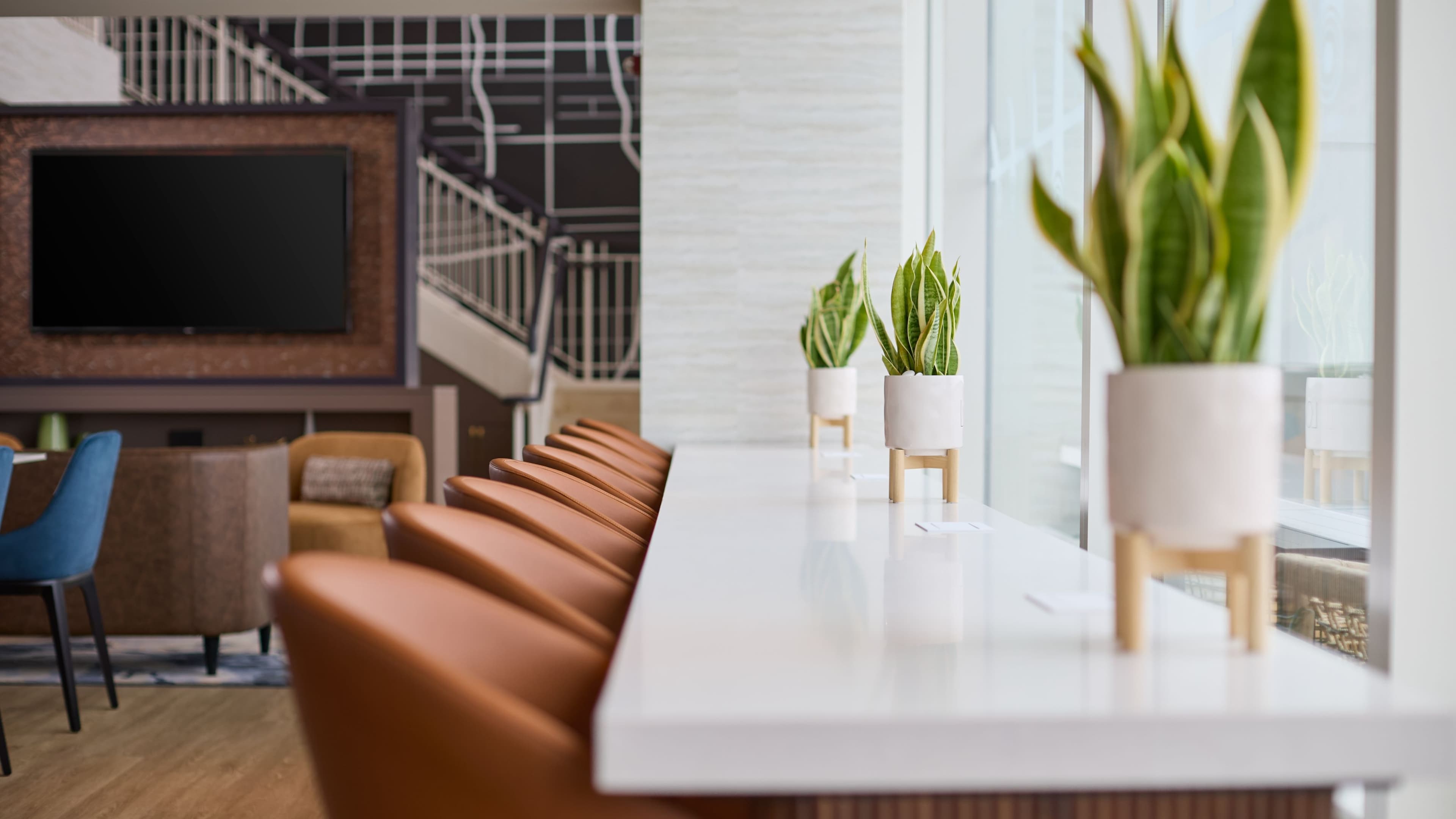 Guest room - Image 11