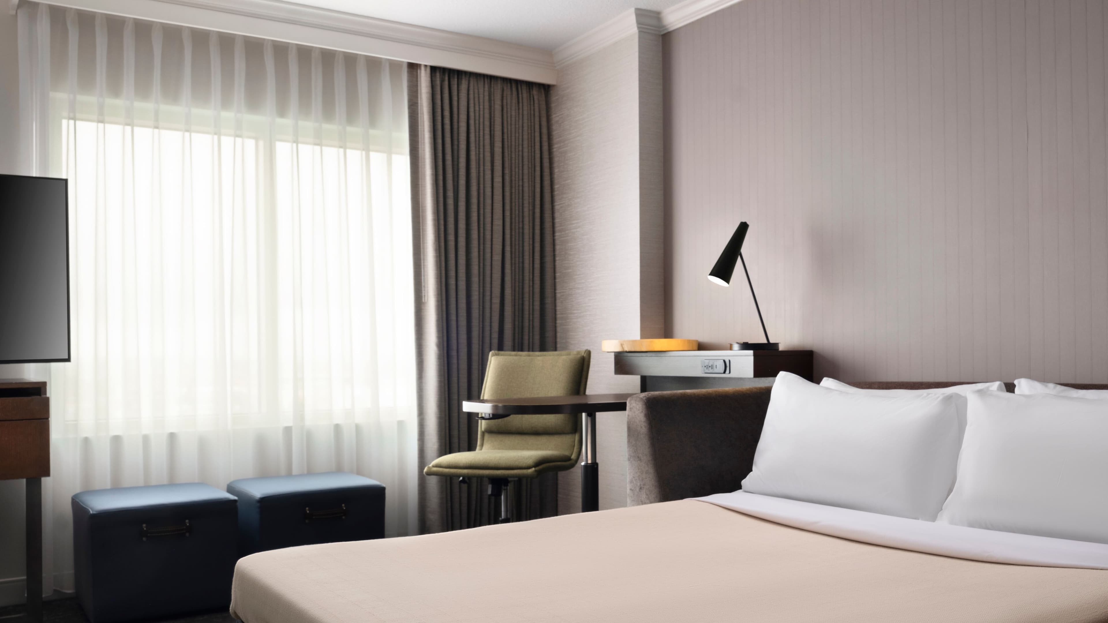 Studio Suite - Image 4