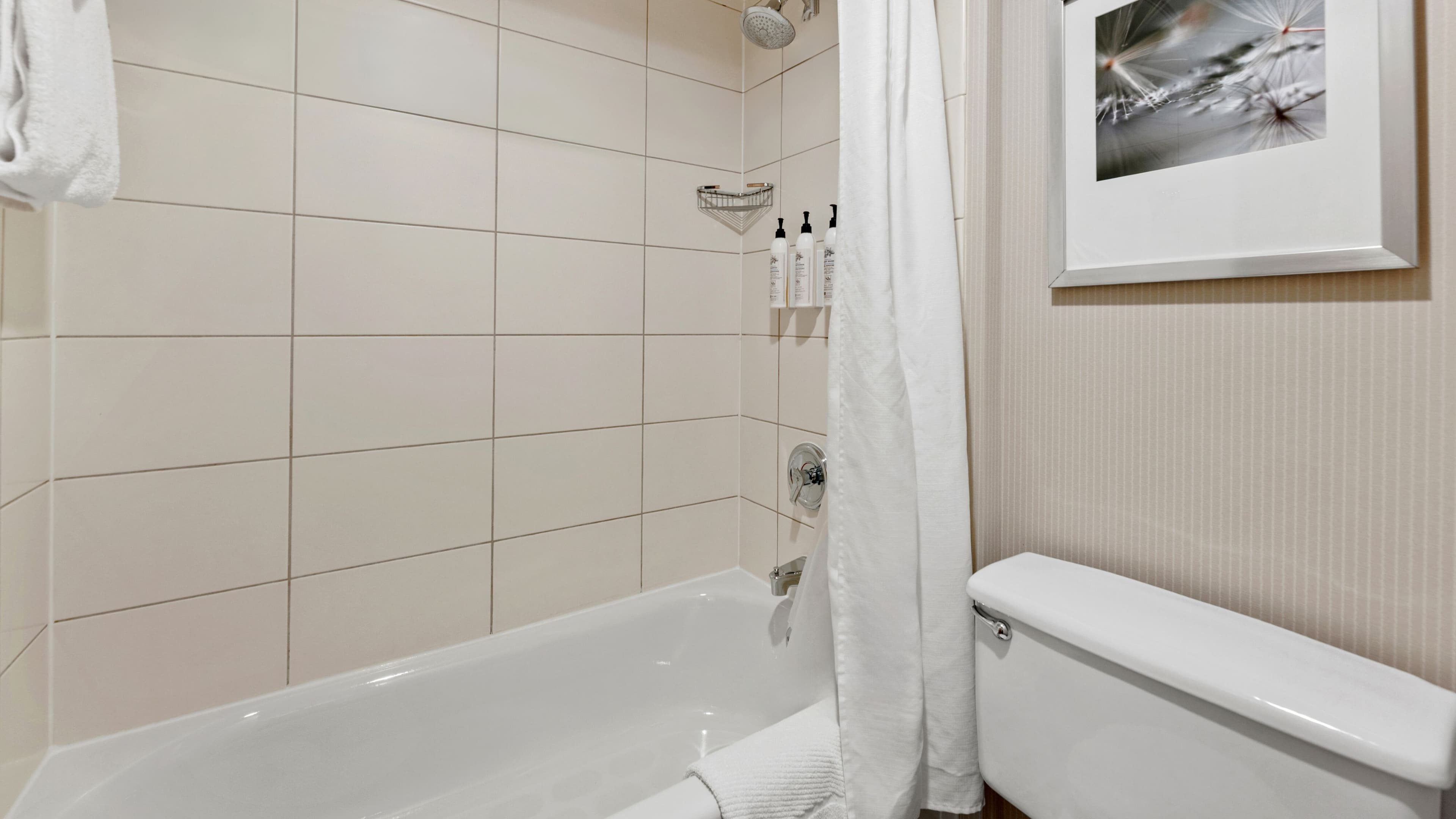 Guest room - Image 10