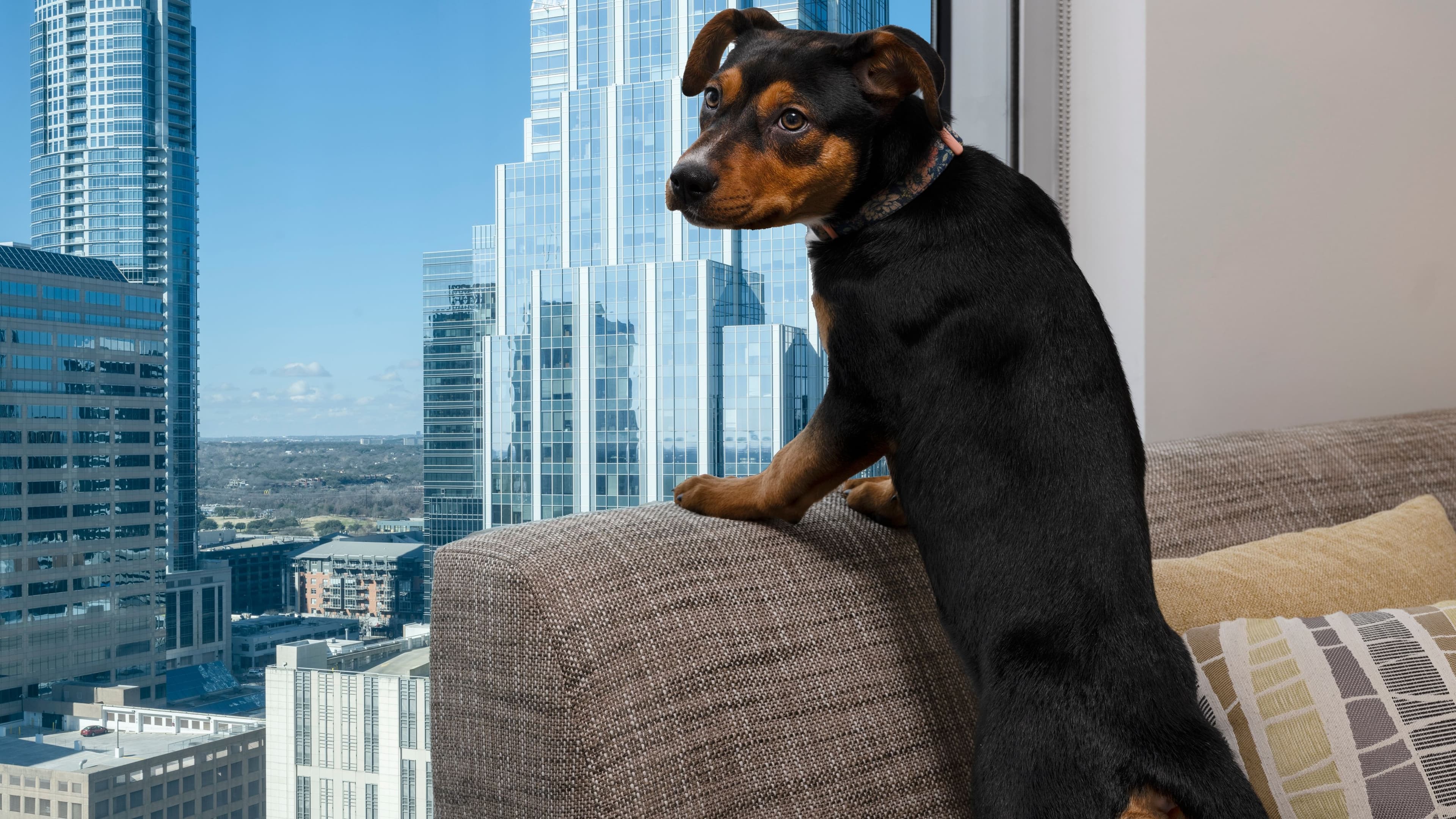 Guest room - Image 2