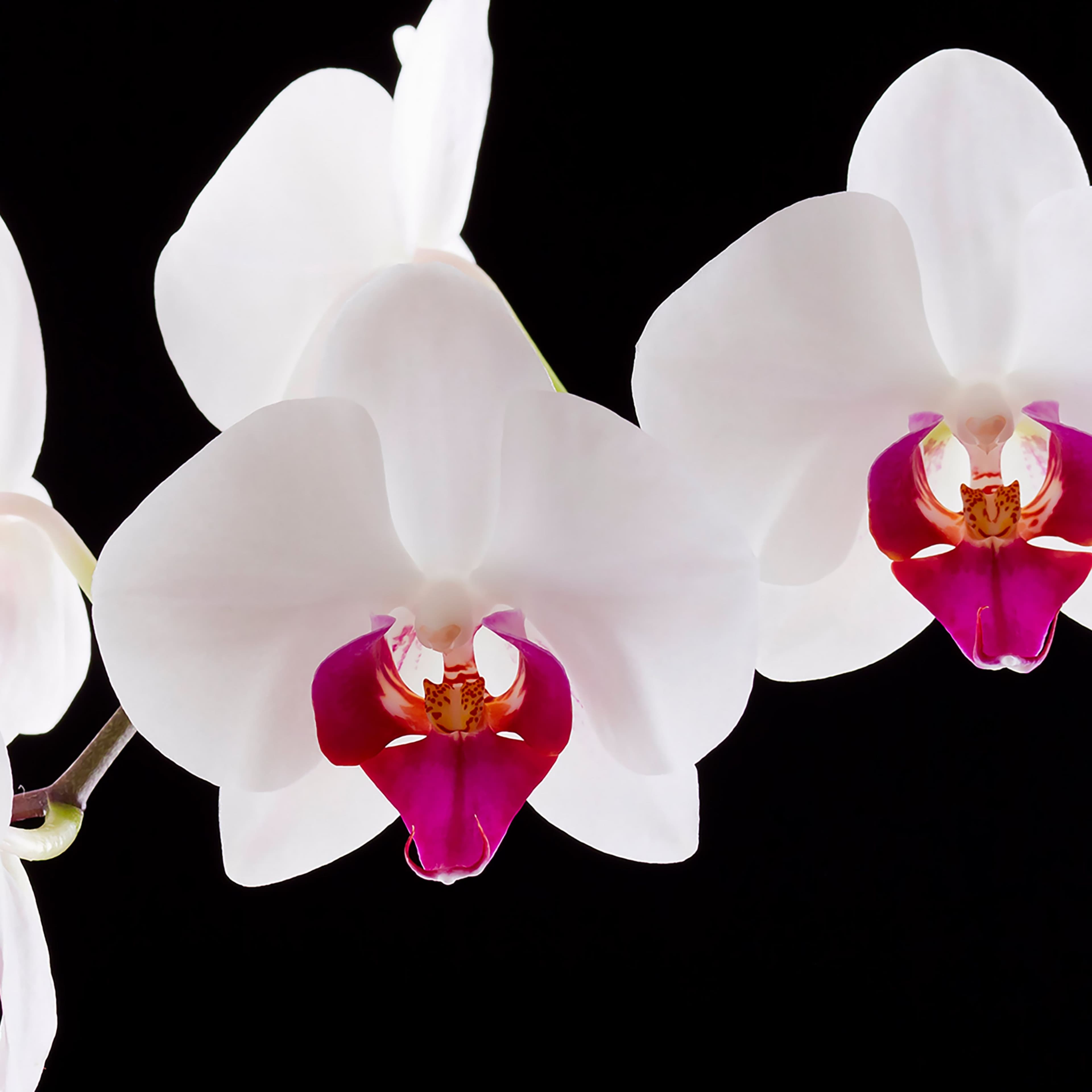 JW Marriott Hotel Zhengzhou