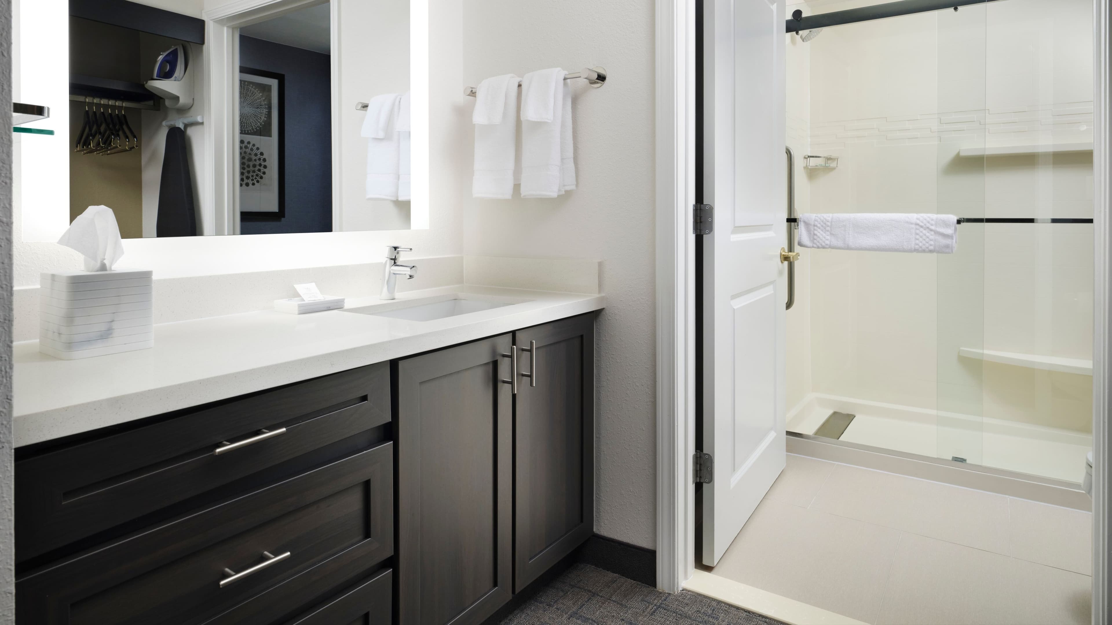 1 Bedroom Suite - Image 9