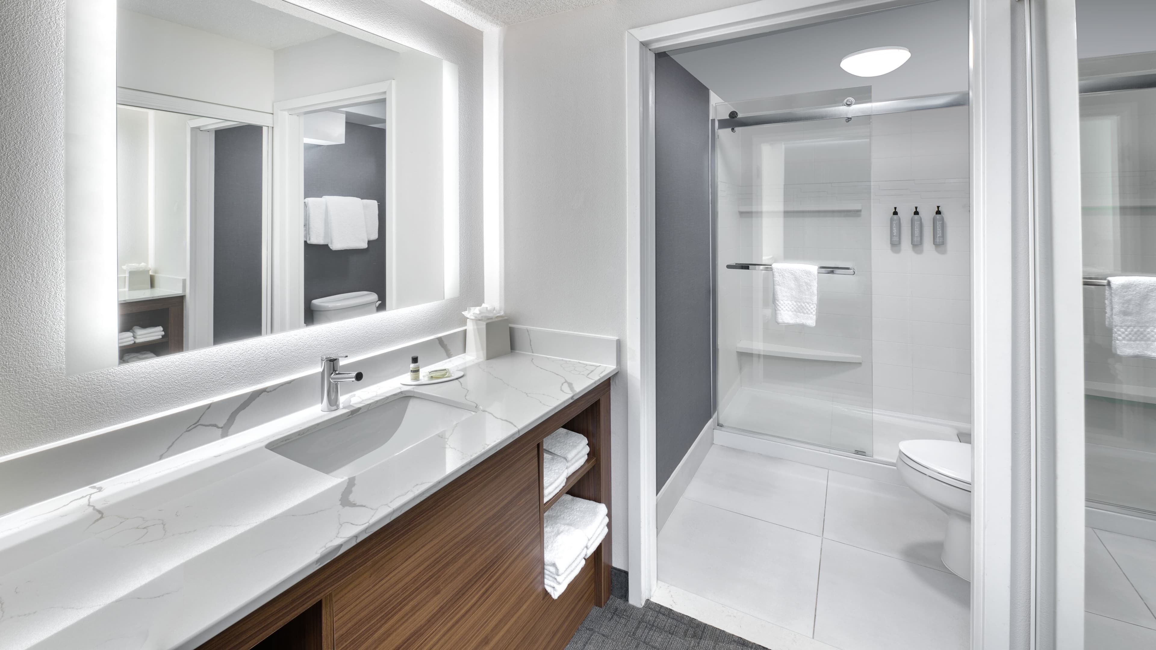 One Bedroom Suite - Image 5