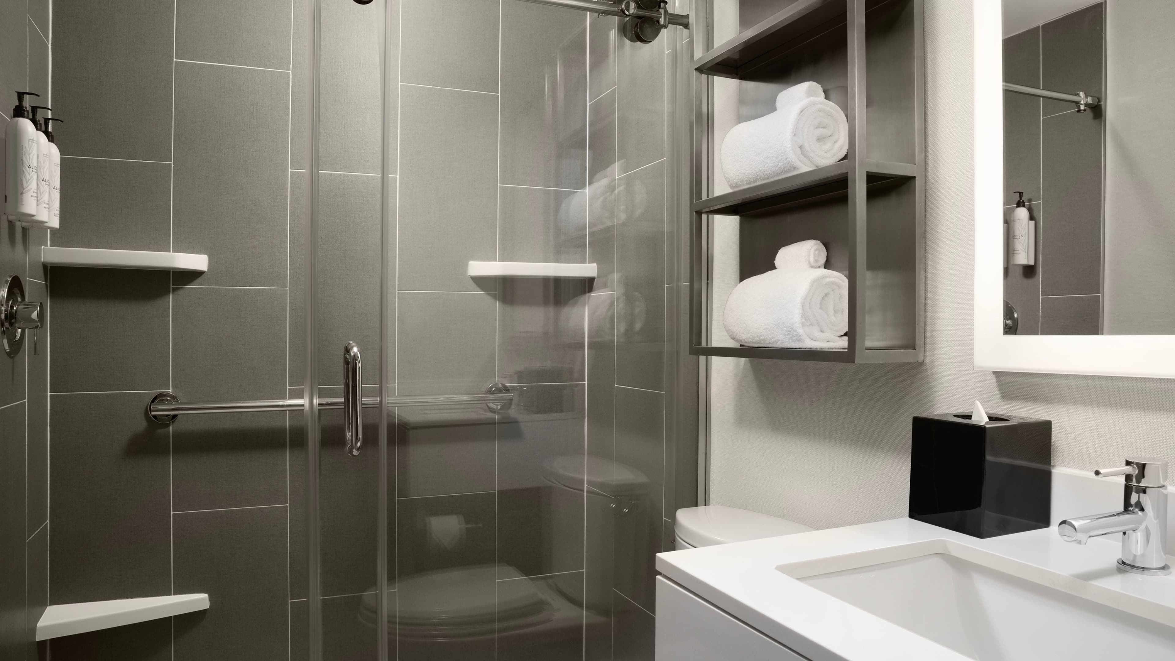 Studio Queen - Image 3