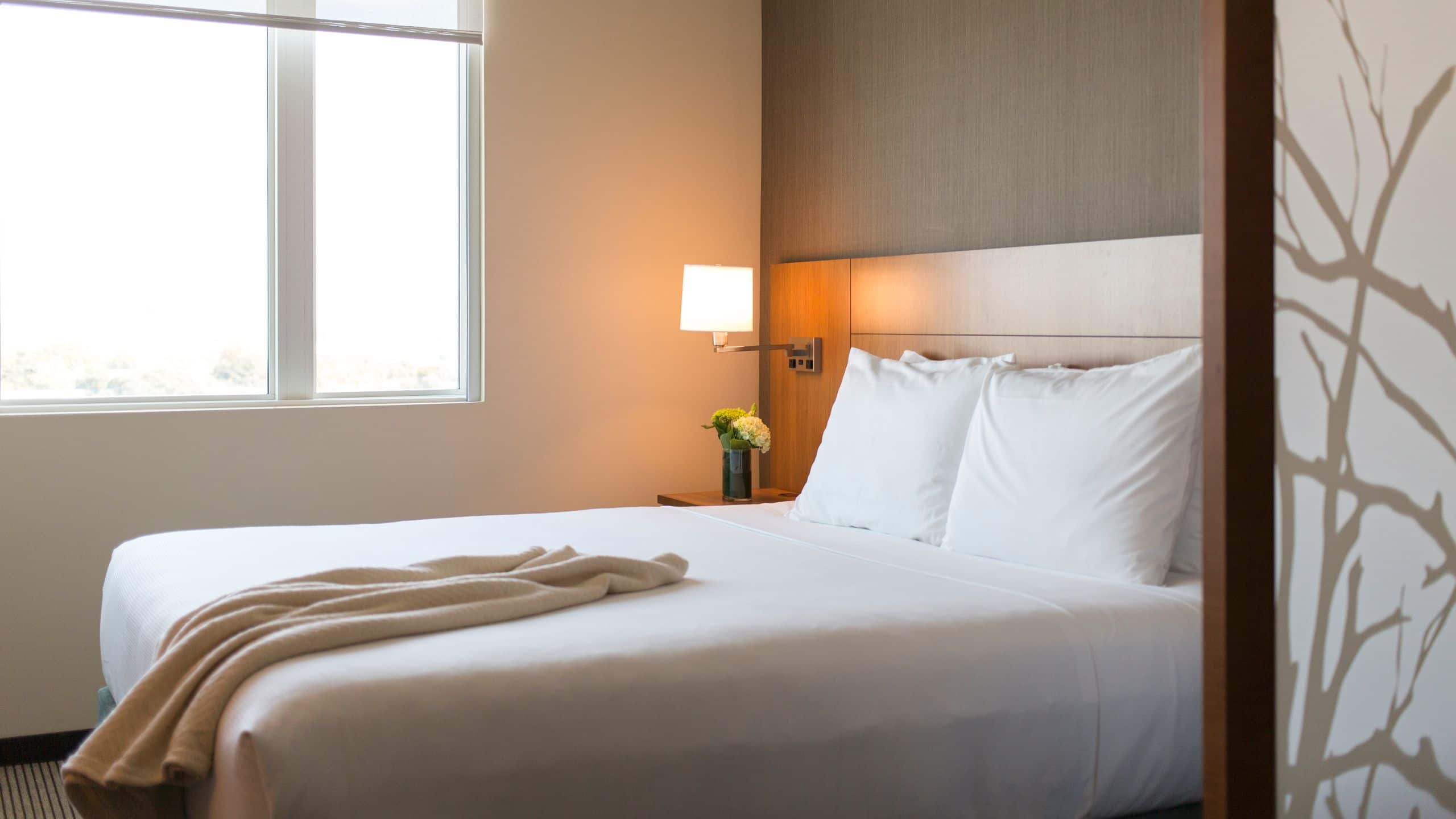 King Bed (With Sofa Bed) - Image 1