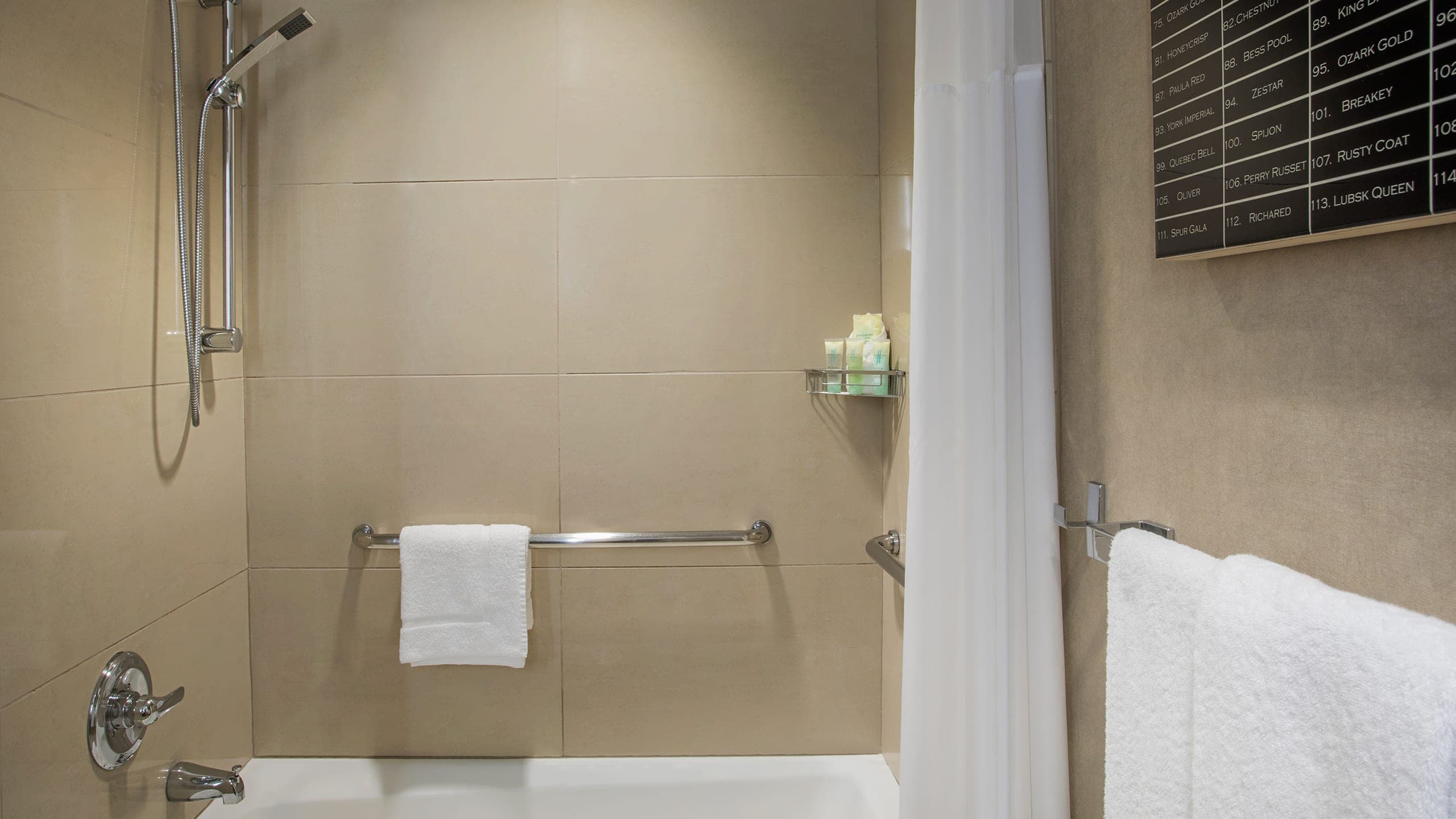 Accessible | 1 Queen Bed with Tub - Image 2