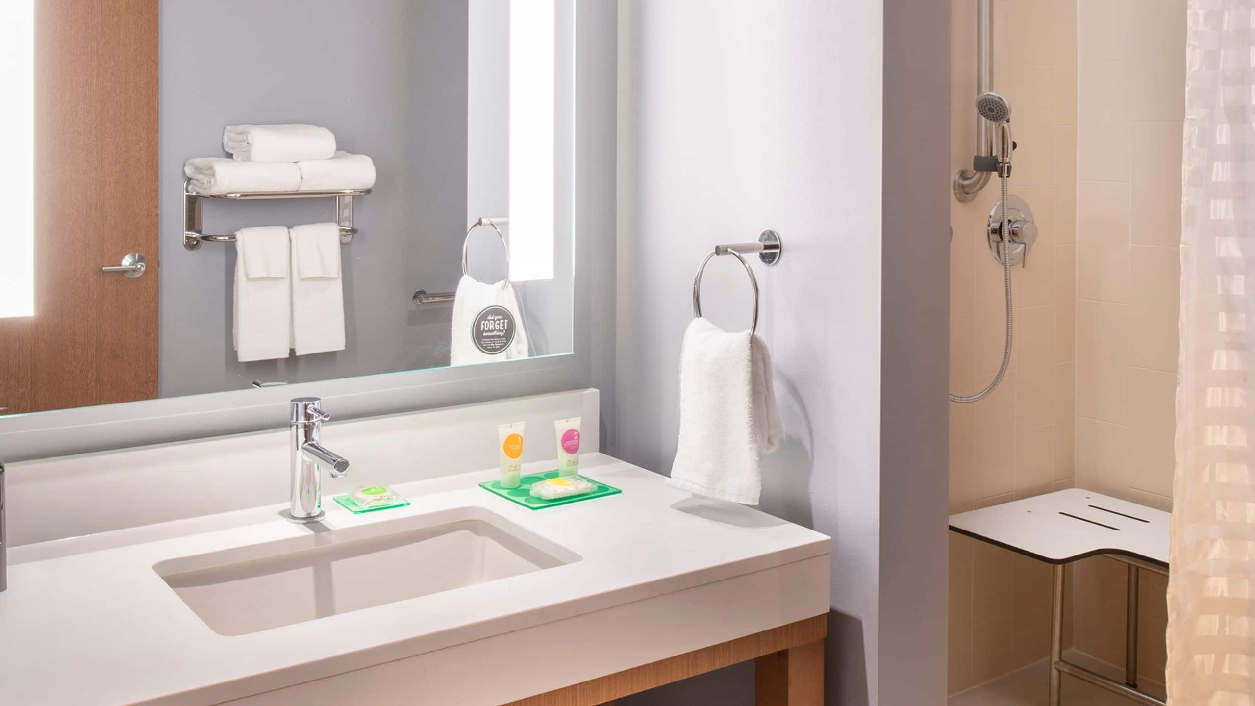 Accessible Den Guestroom/Roll-in Shower | King Bed - Image 2