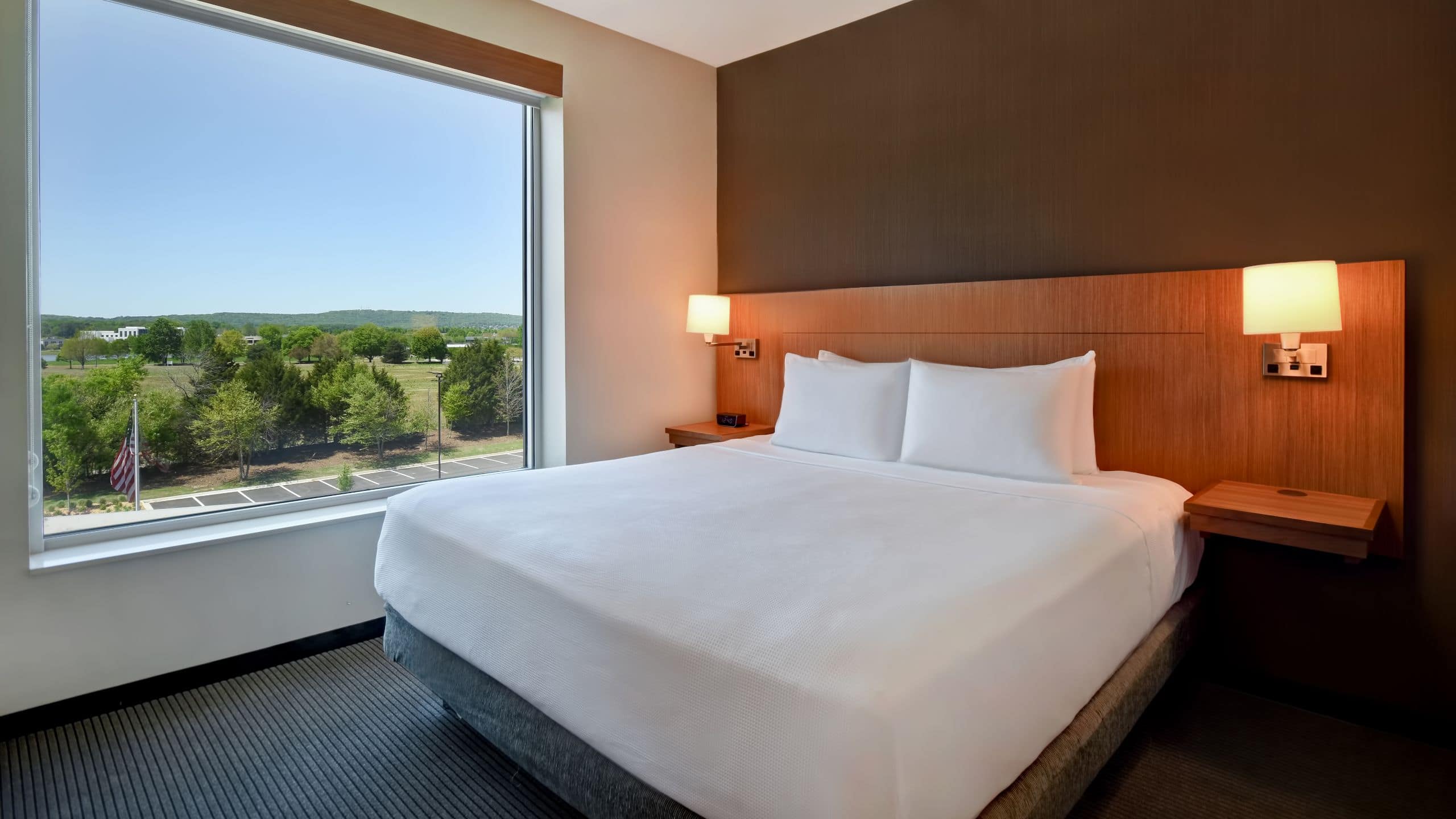 King Bed (Plus Sofa Bed) - Image 1