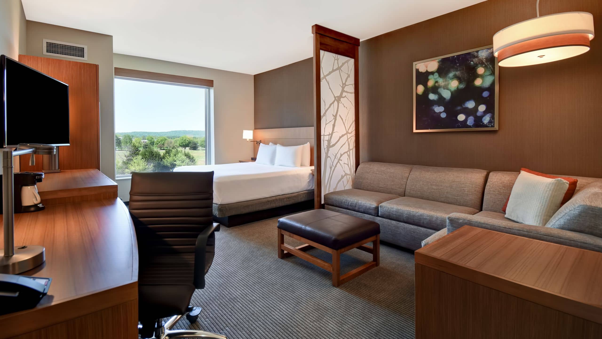 King Bed (Plus Sofa Bed) - Image 3