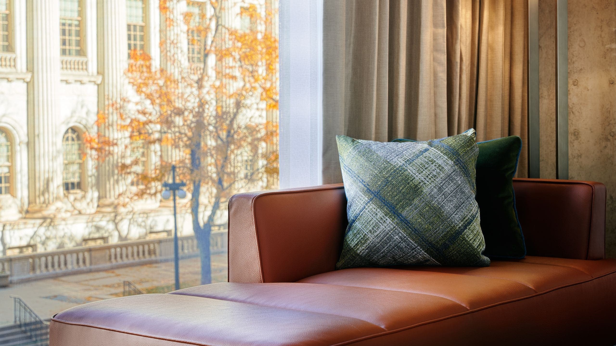 1 King Bed - Image 4