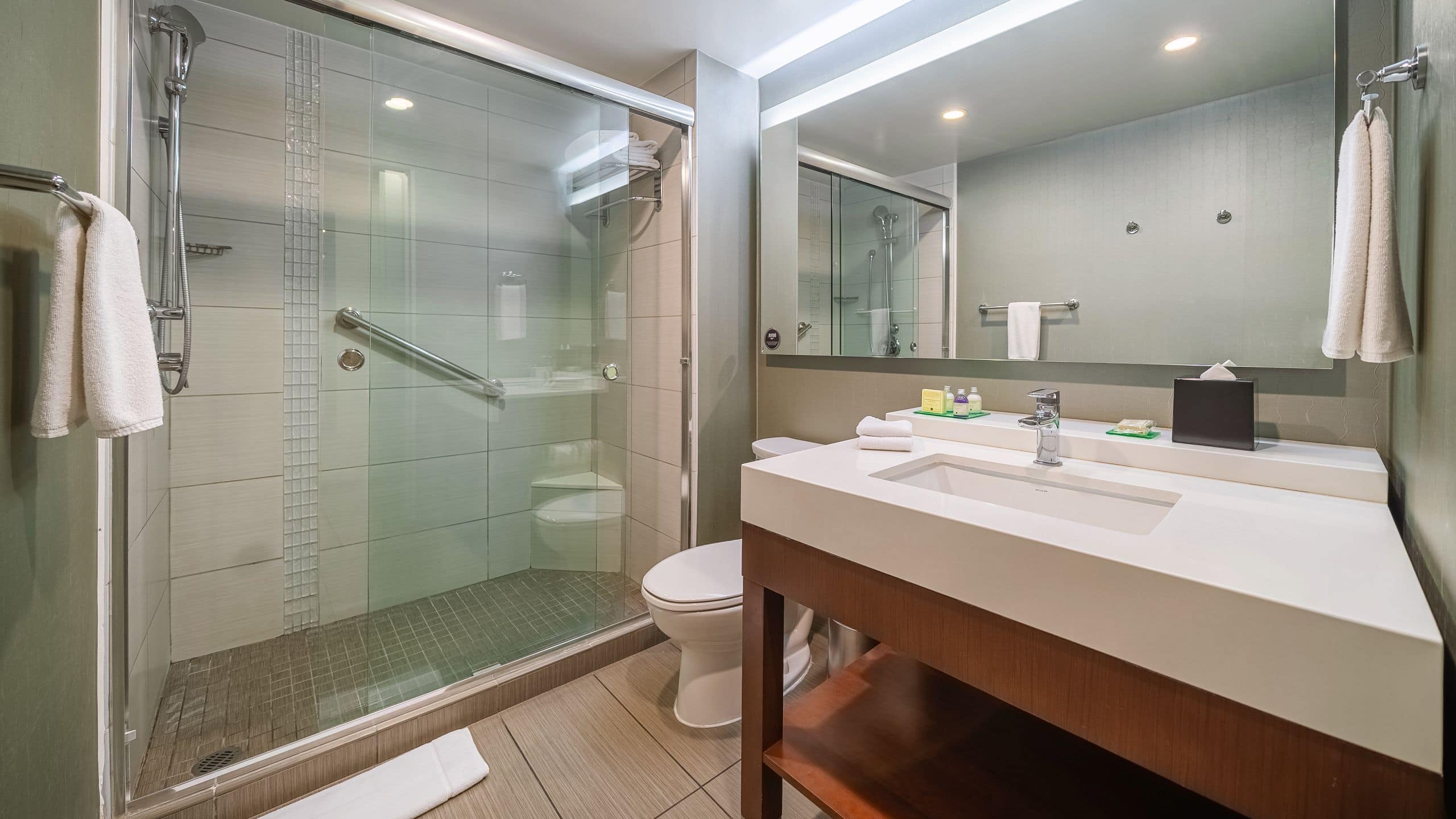 Hyatt Place King (with Sofa Bed) - Image 3