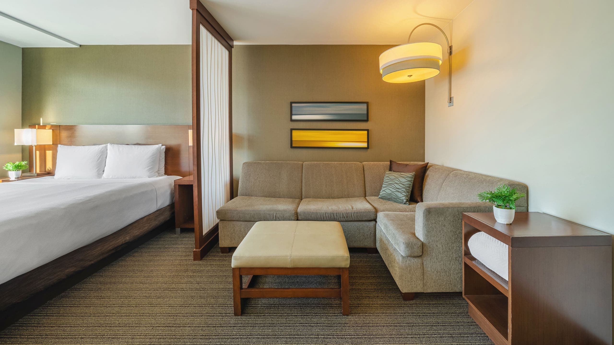 Hyatt Place King (with Sofa Bed) - Image 2