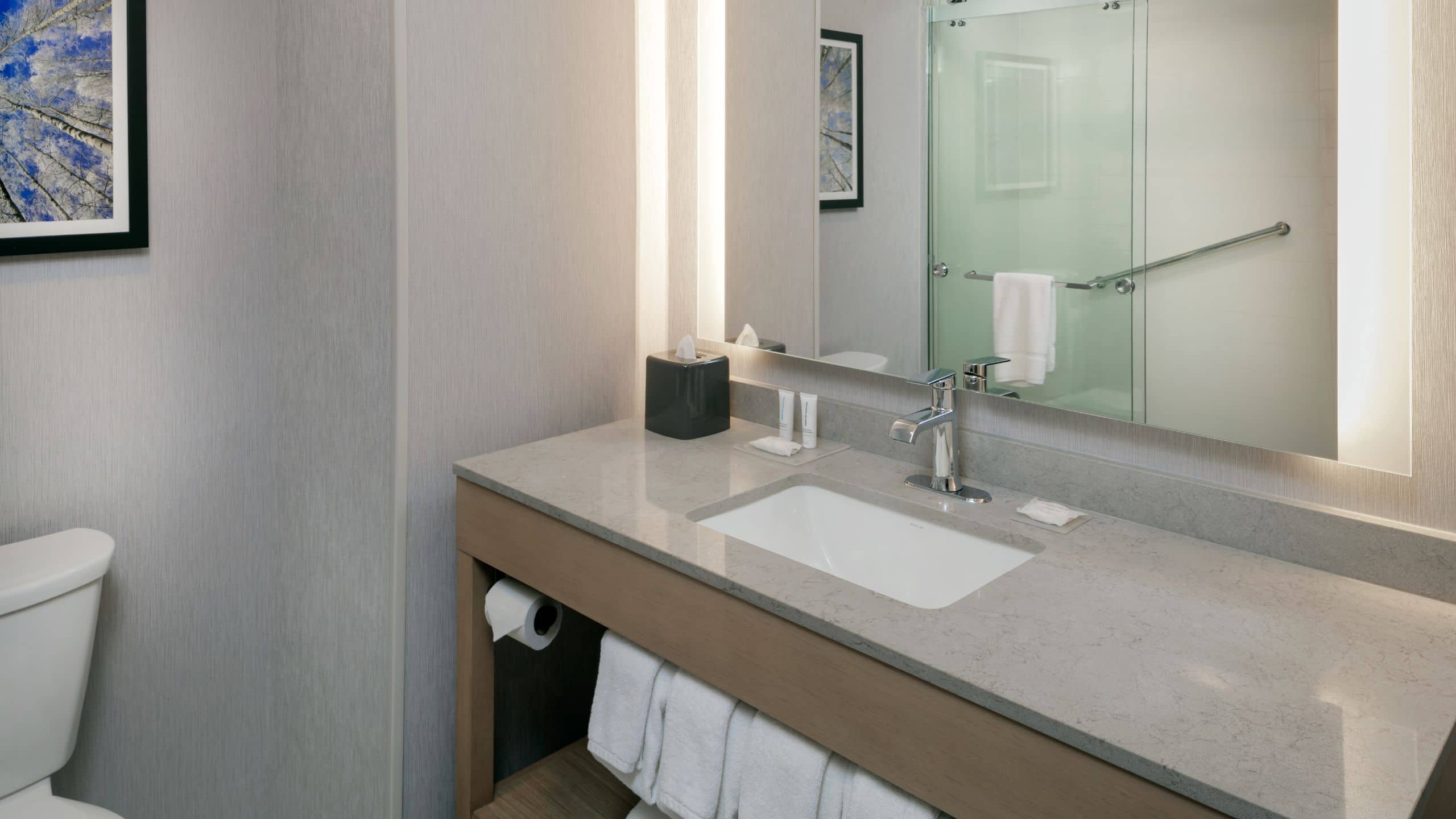 King Bed (Plus Sofa Bed) - Image 3