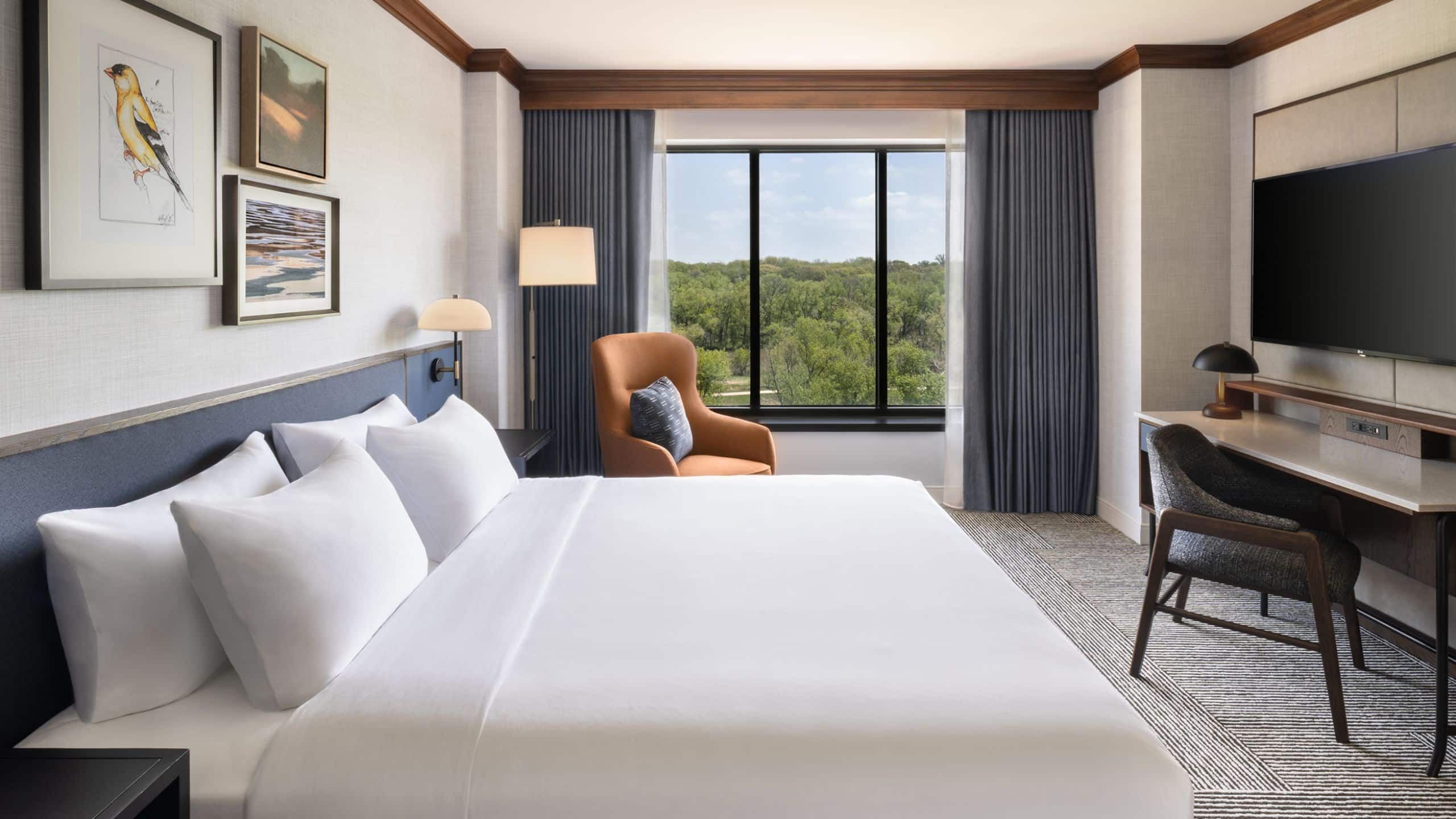 1 Bedroom Suite River View - Image 2