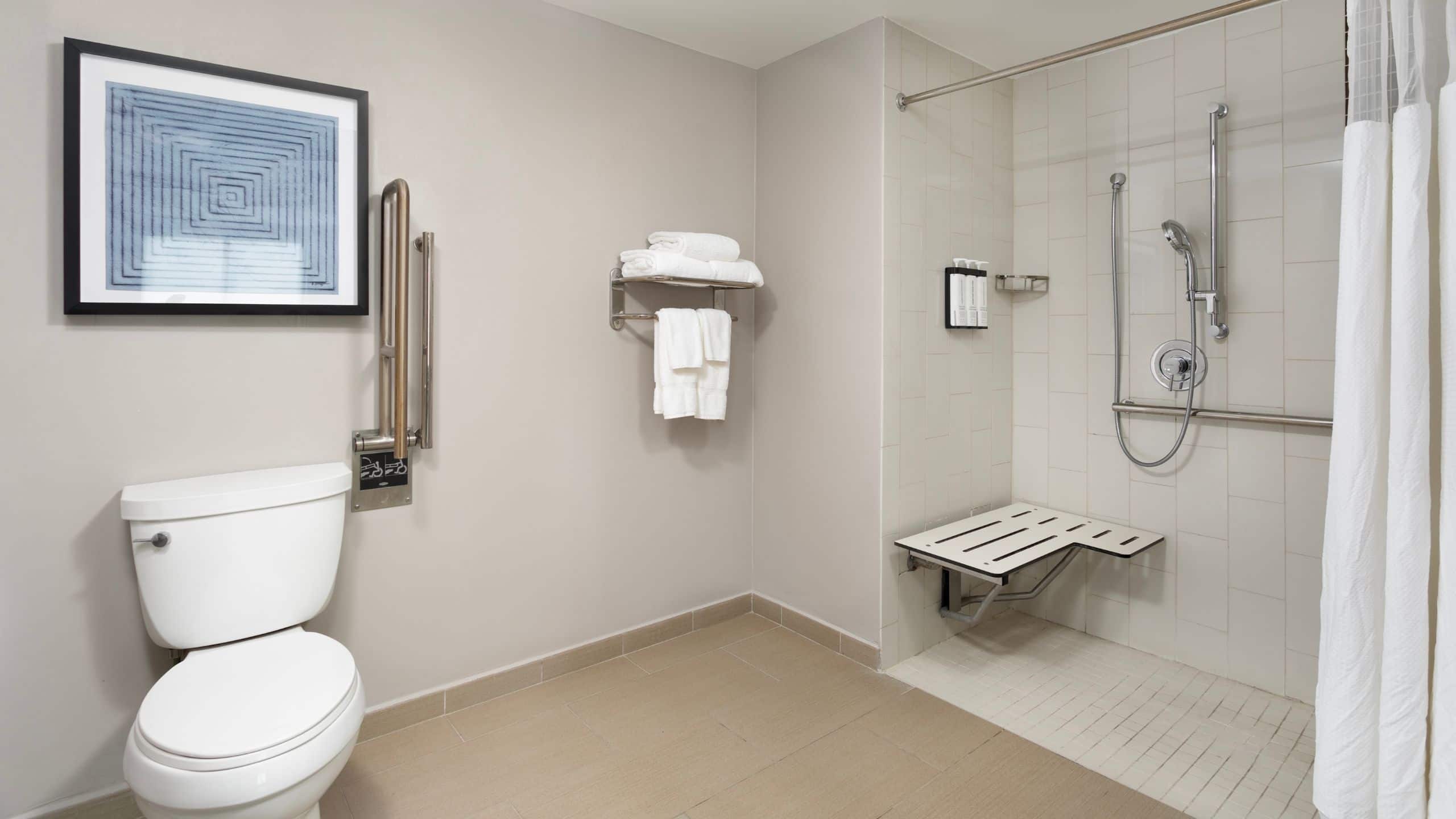 Accessible King Bed/Roll-In Shower (With Sofa Bed) - Image 4