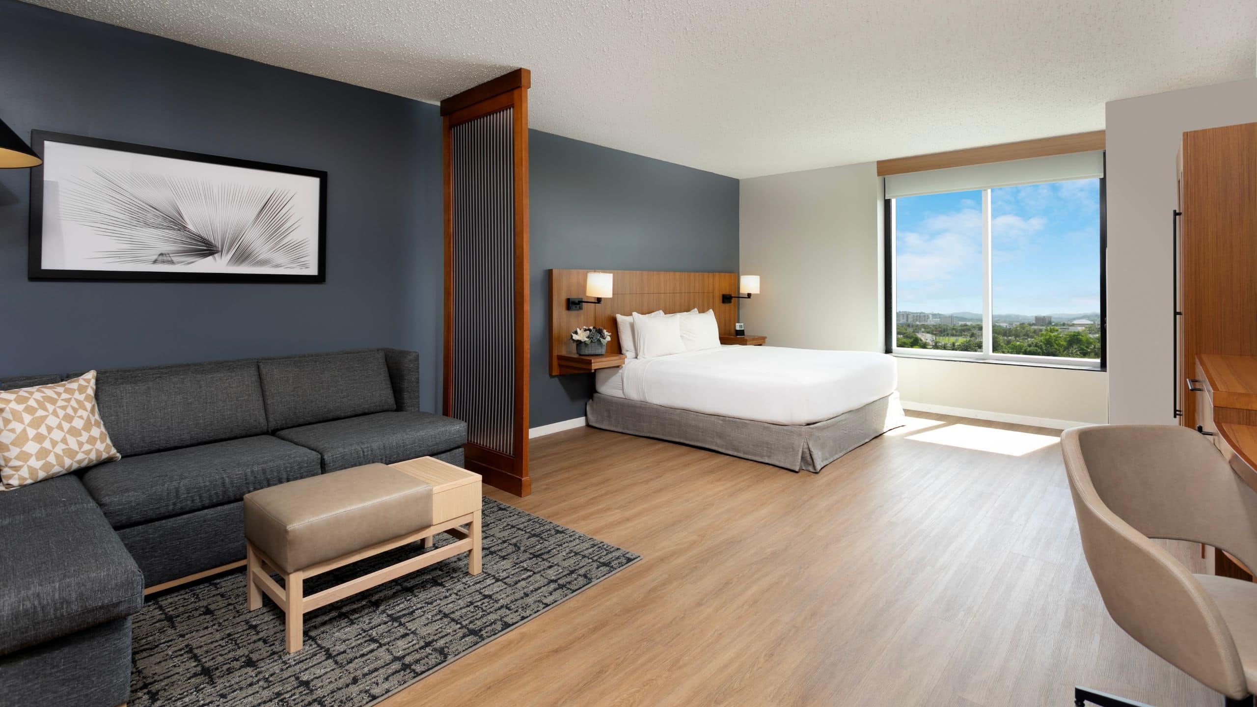 Accessible King Bed/Roll-In Shower (With Sofa Bed) - Image 1