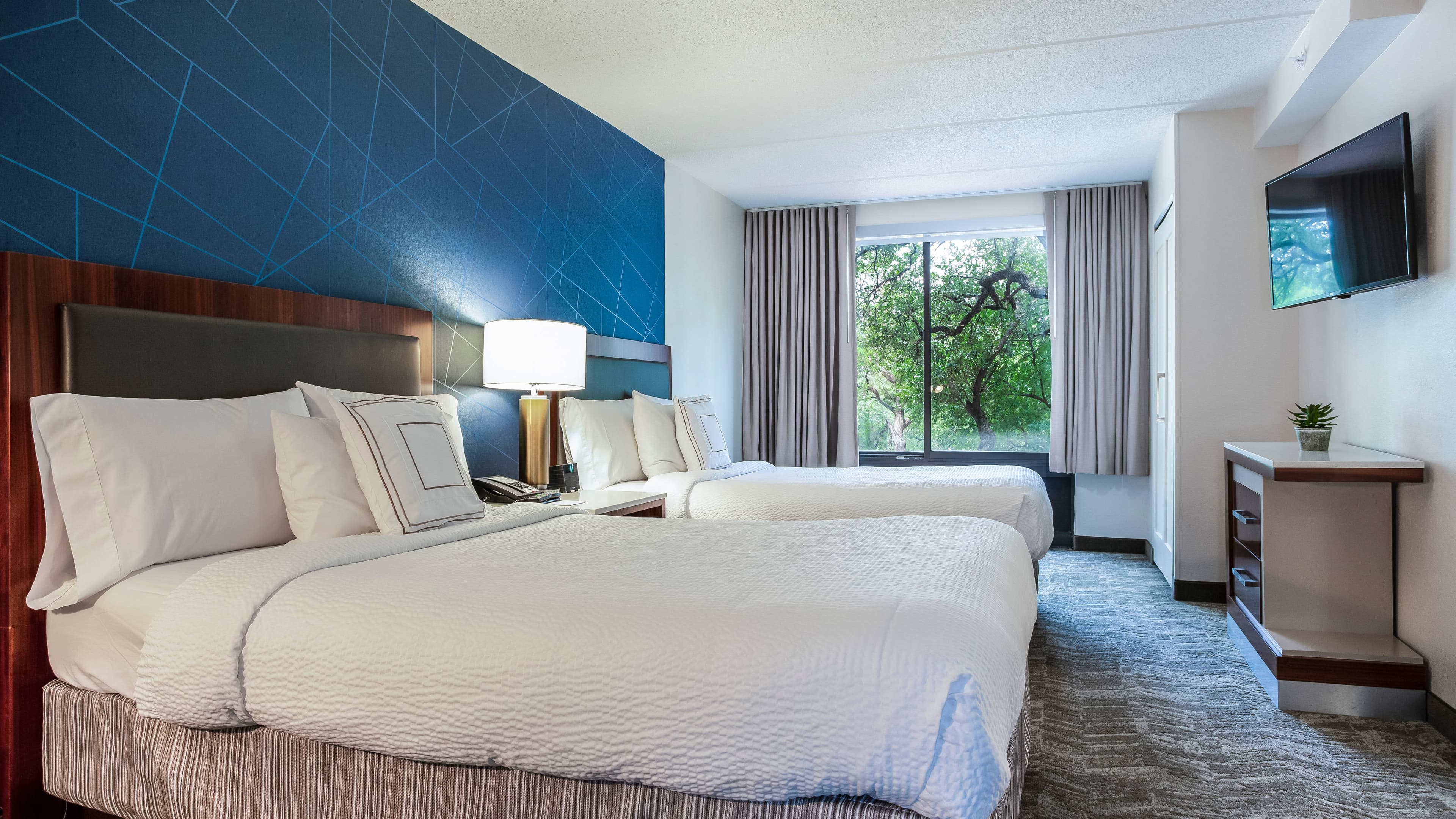 Double Suite - Image 2