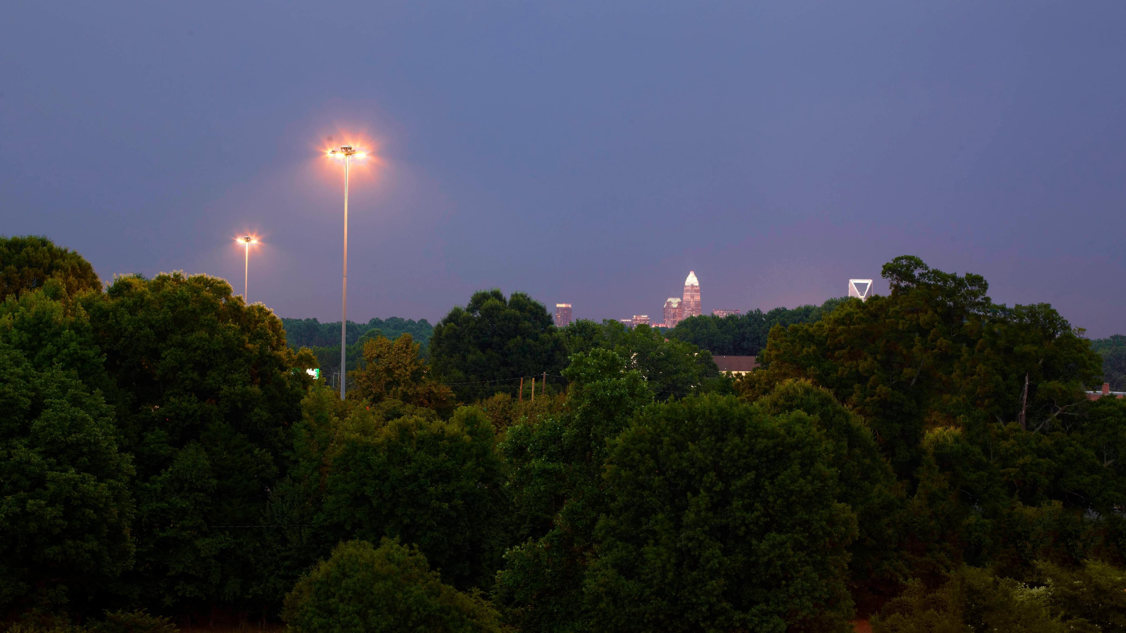 Traditional - Image 6