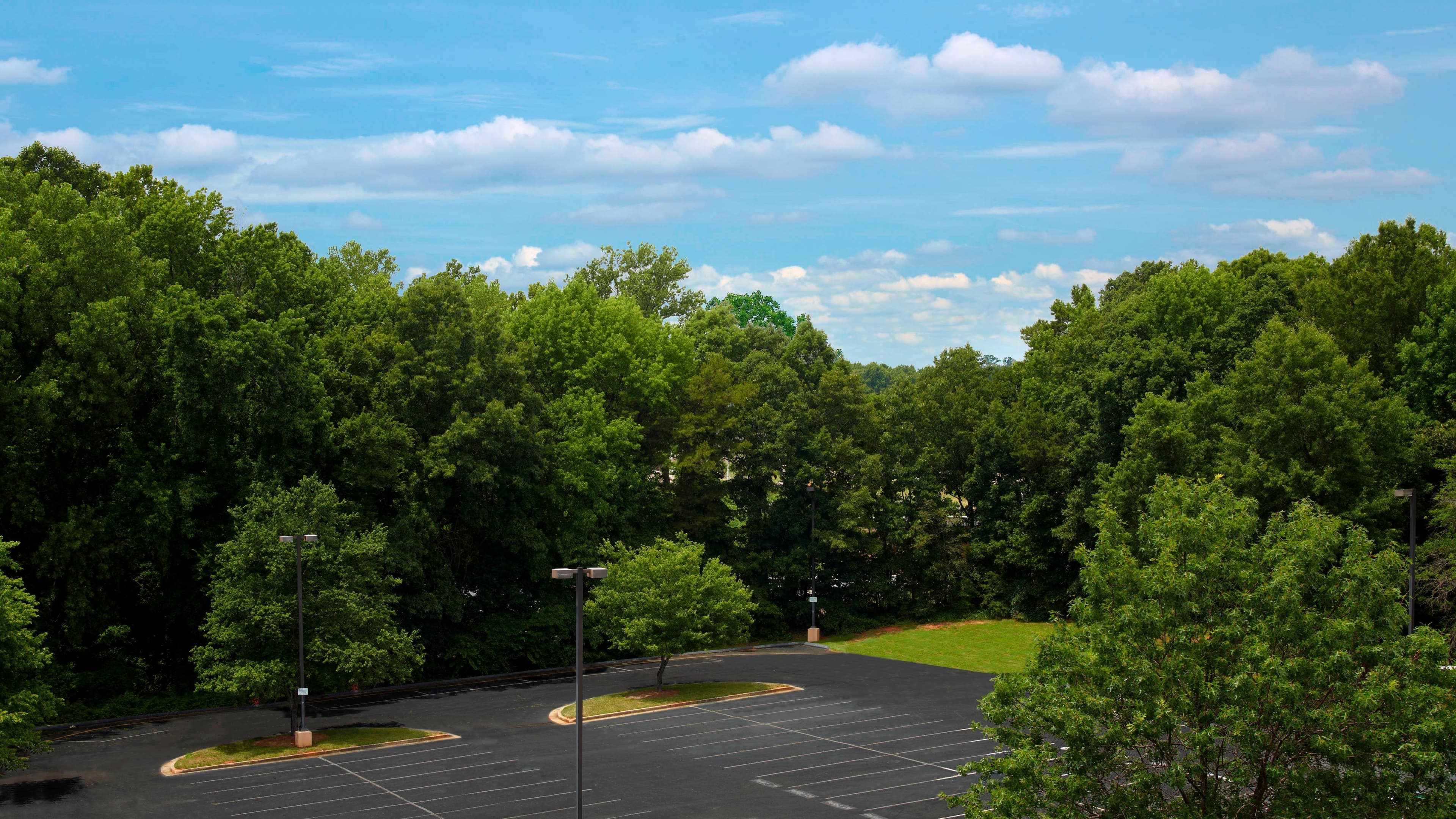 Traditional - Image 7