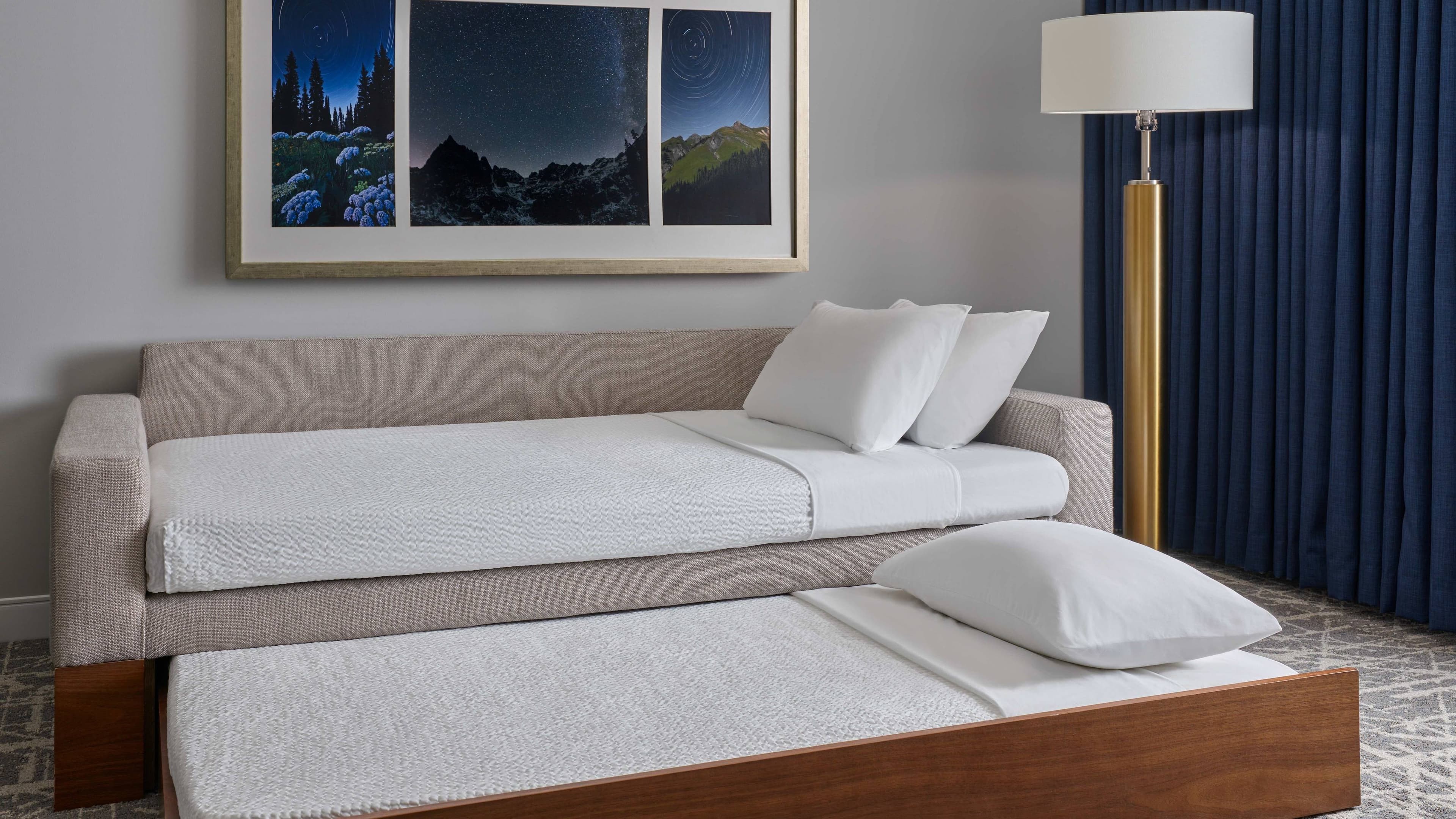 Standard Two Queen Suite - Image 5