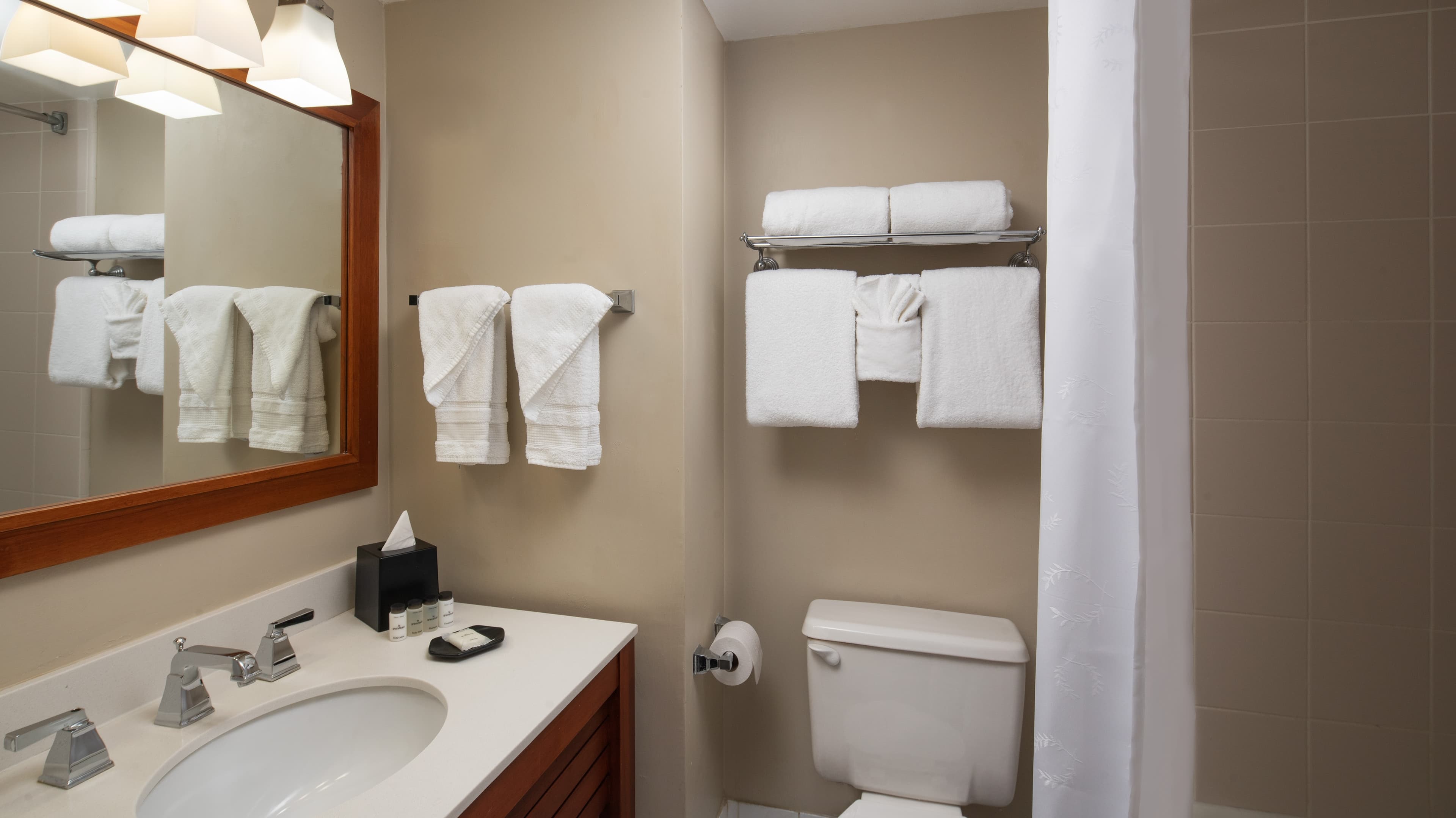 1 Bedroom Suite - Image 4