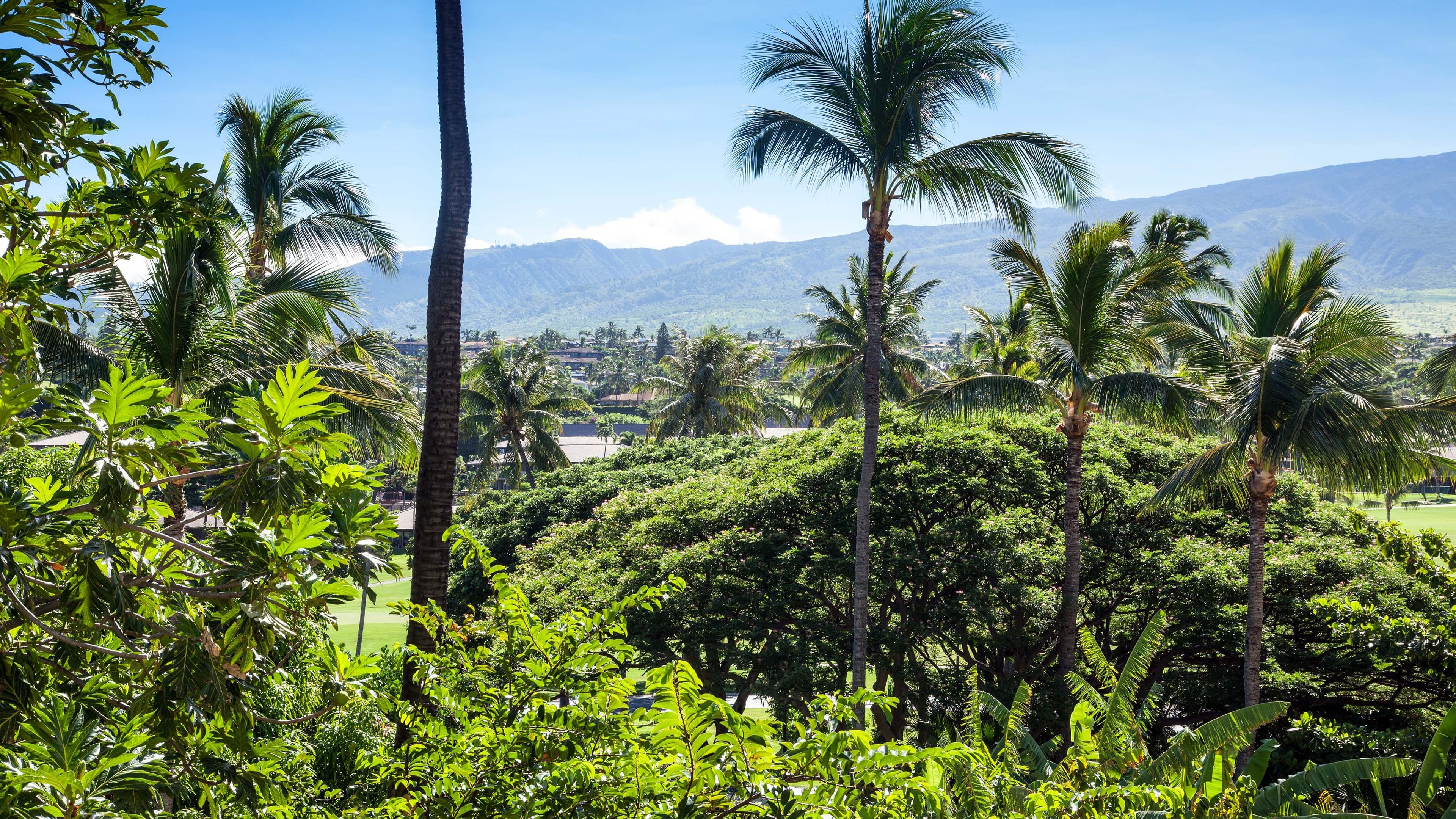 Resort View King - Image 2