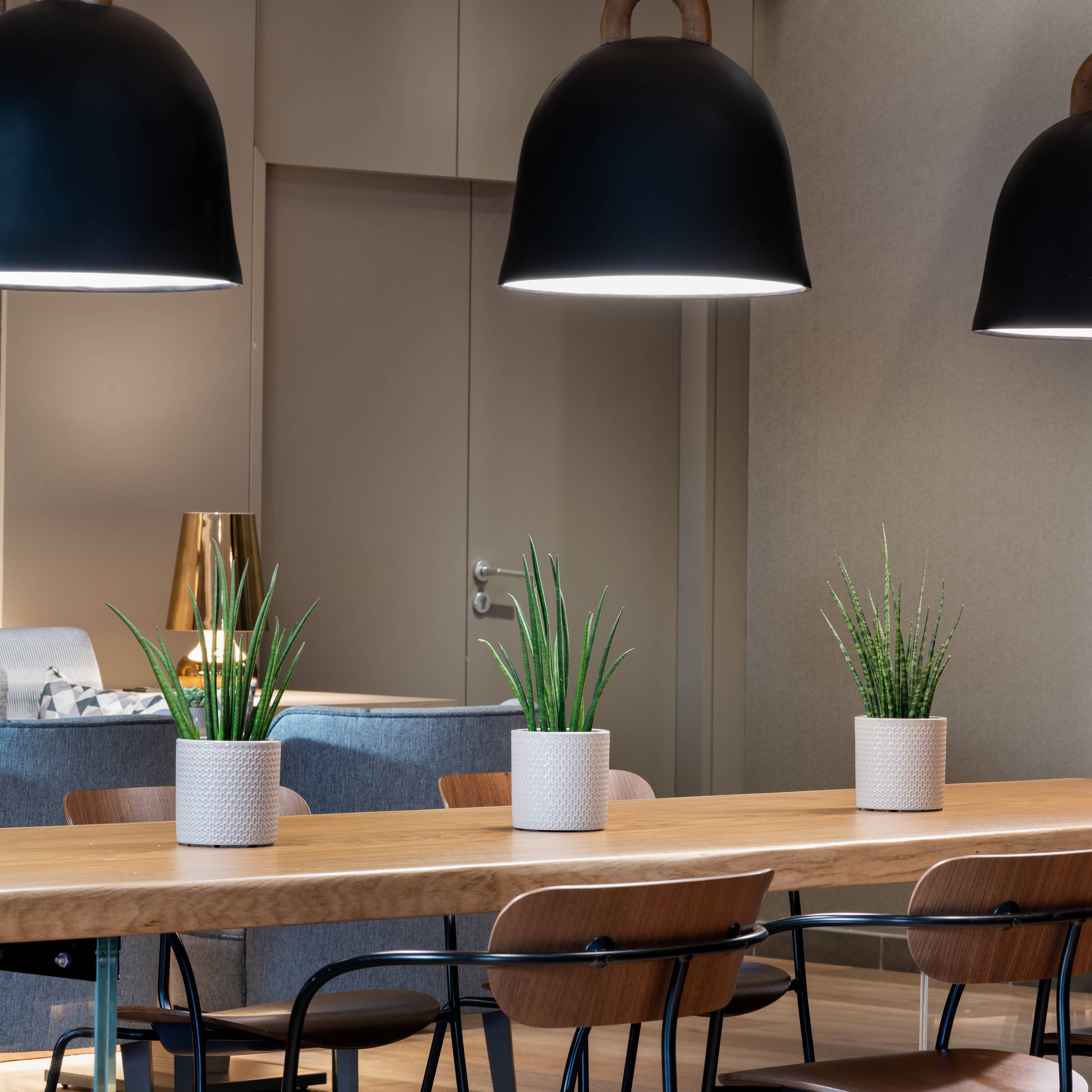 AC Hotel Oviedo Forum