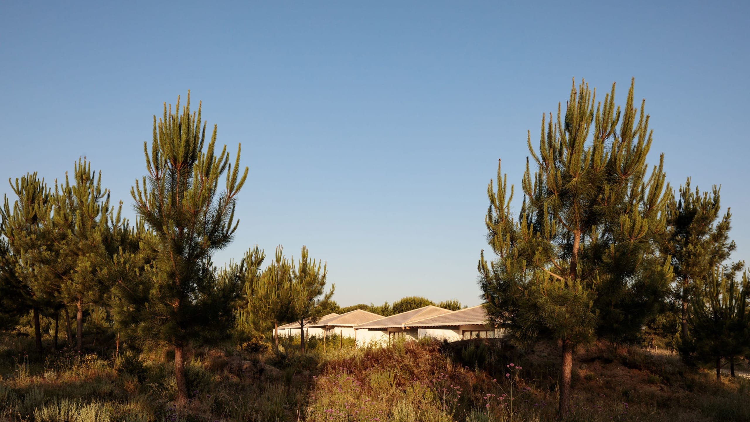 Deluxe Room with Exterior Courtyard - Image 1