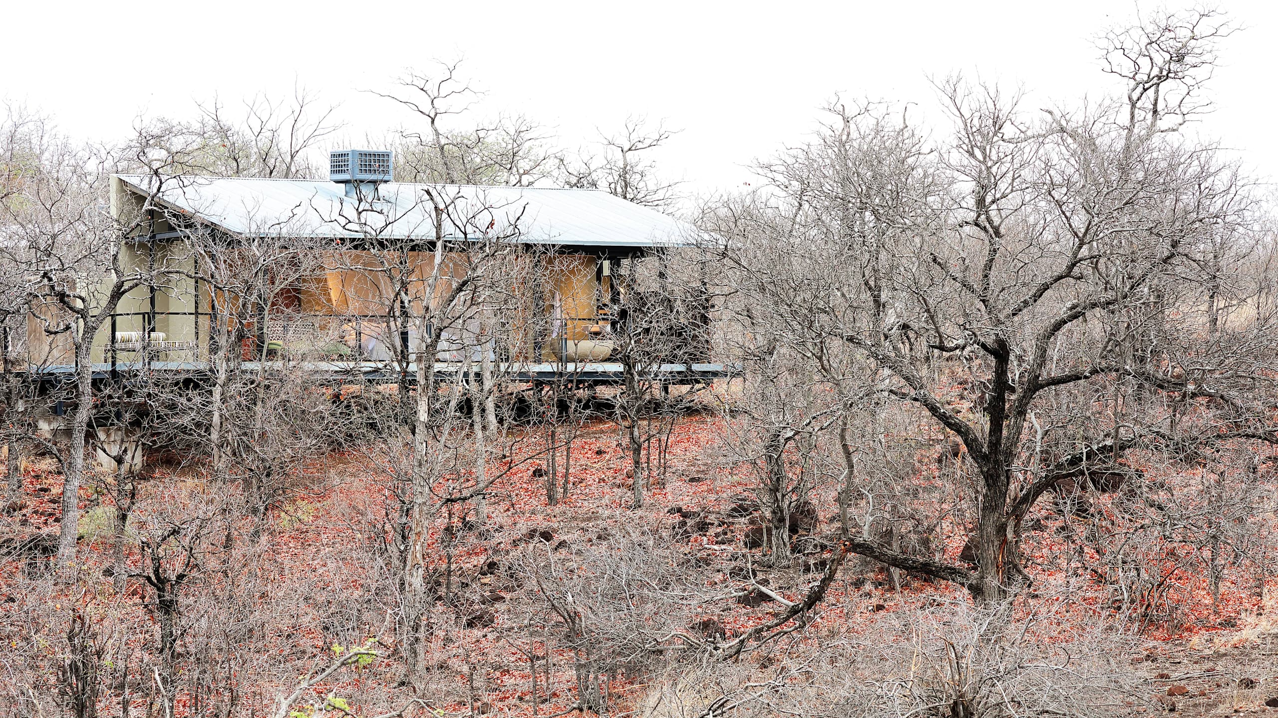 Bush Space - Image 5