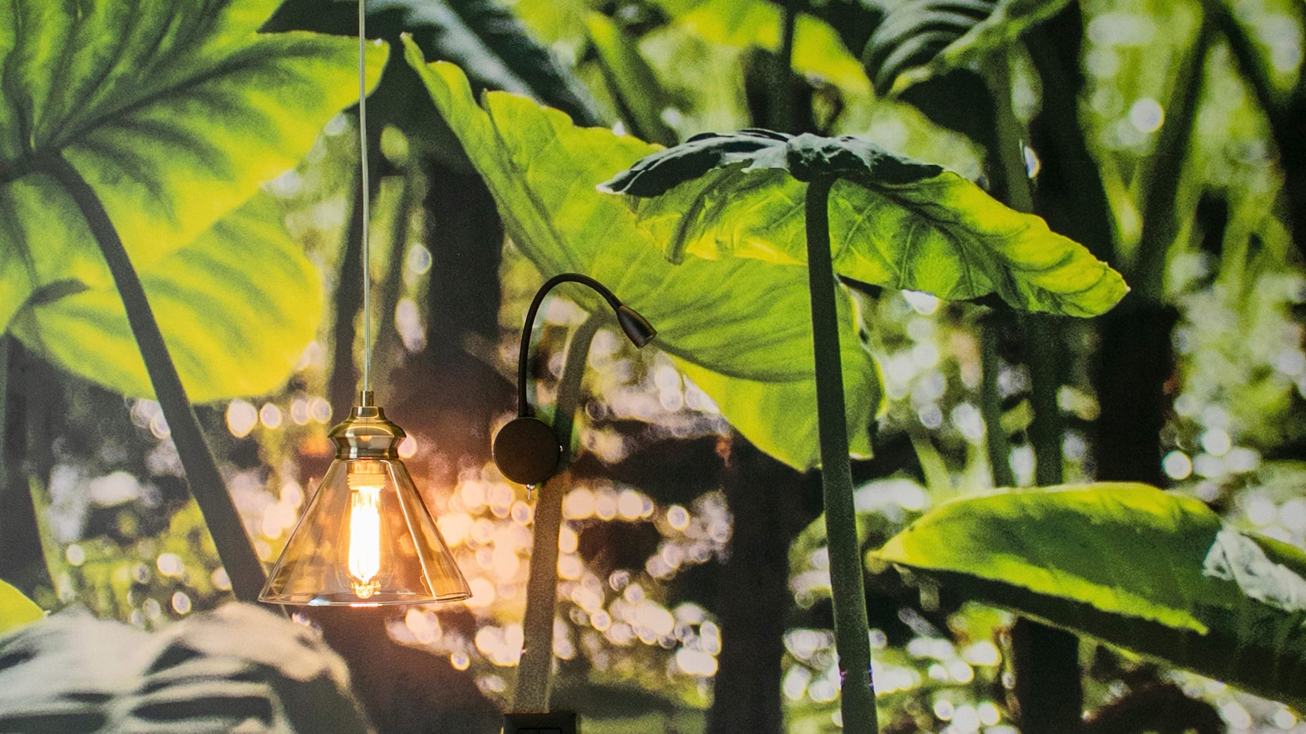 Standard Mini Double Room - Image 7