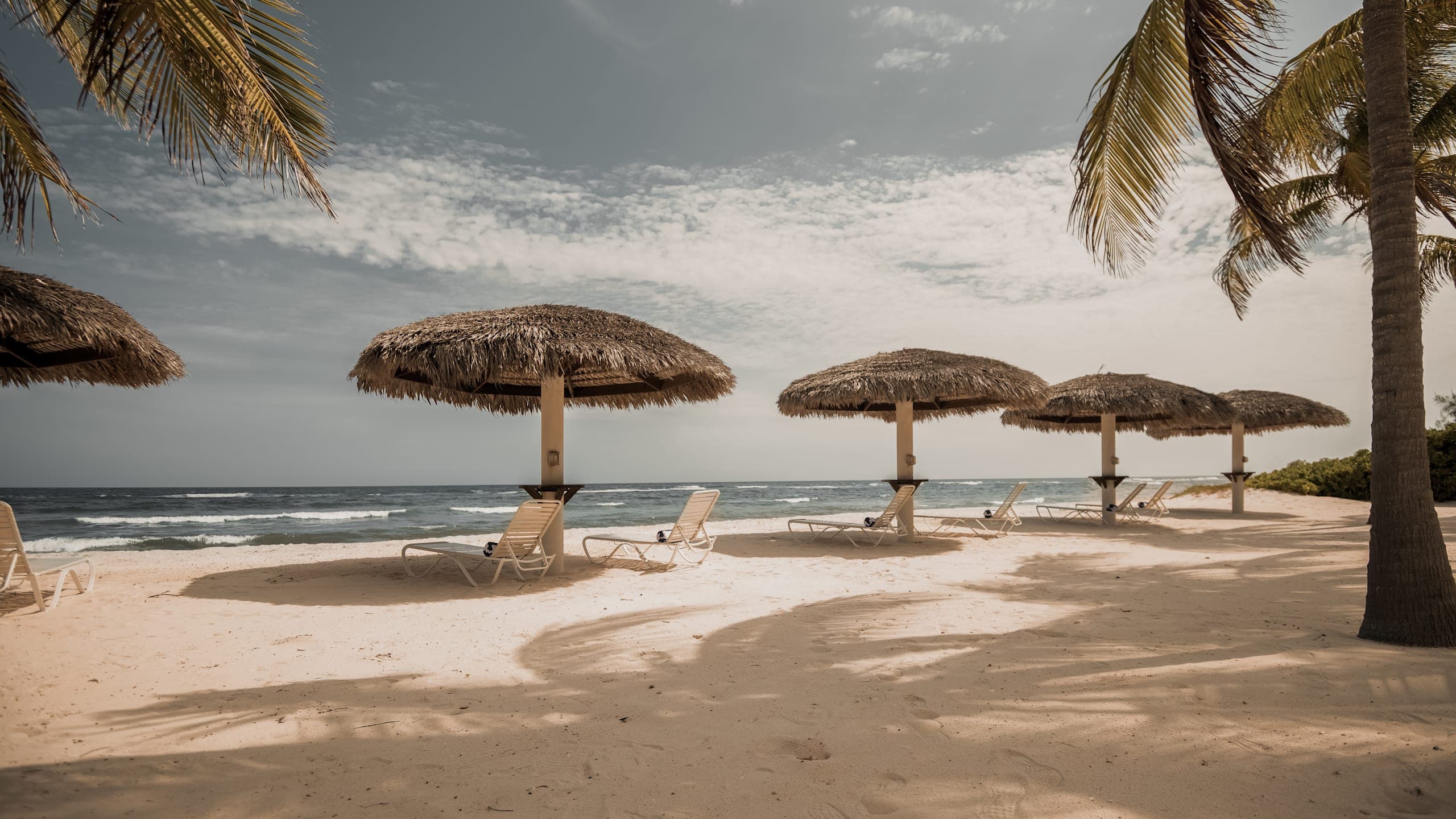 Beach Club Studio - Image 2