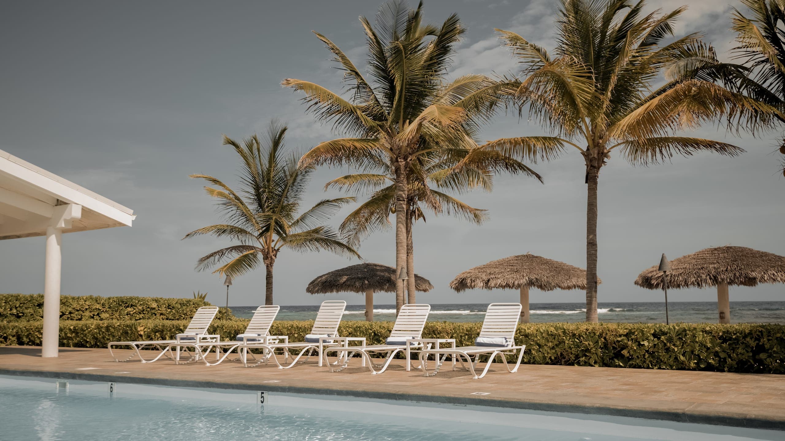 Beach Club Studio - Image 1